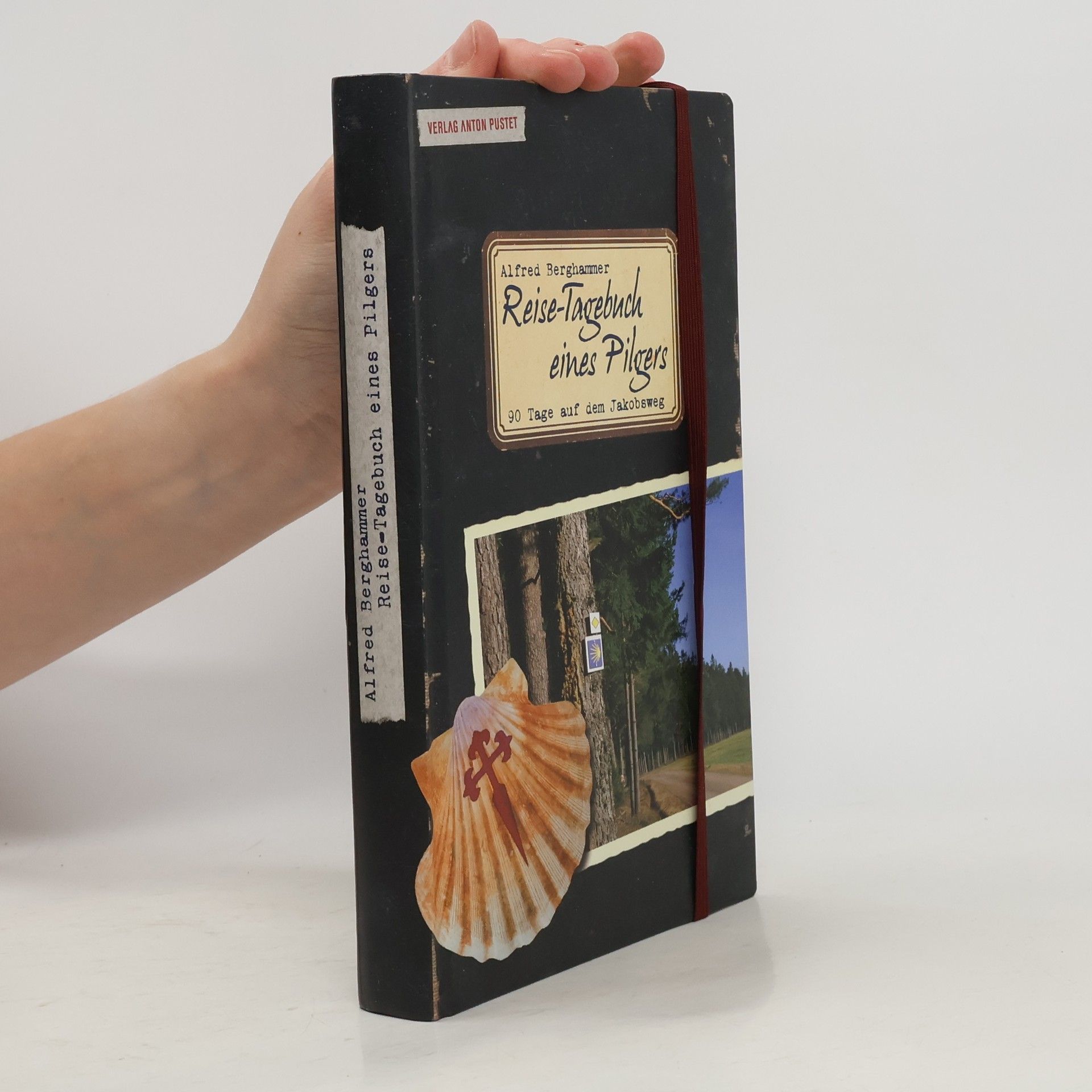 Alfred Berghammer Reise-Tagebuch eines Pilgers