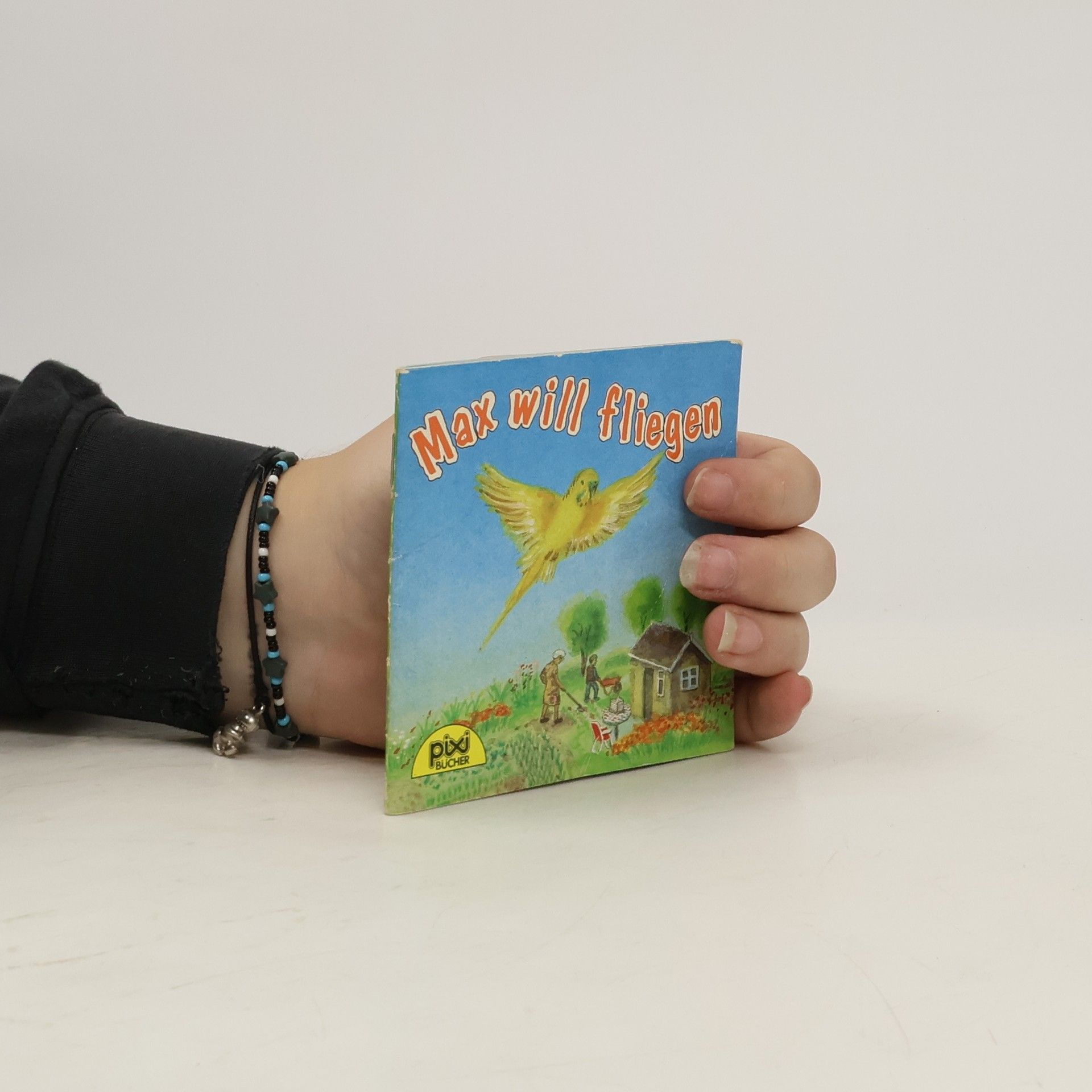 Lasse Drejer Nielsen Max will fliegen