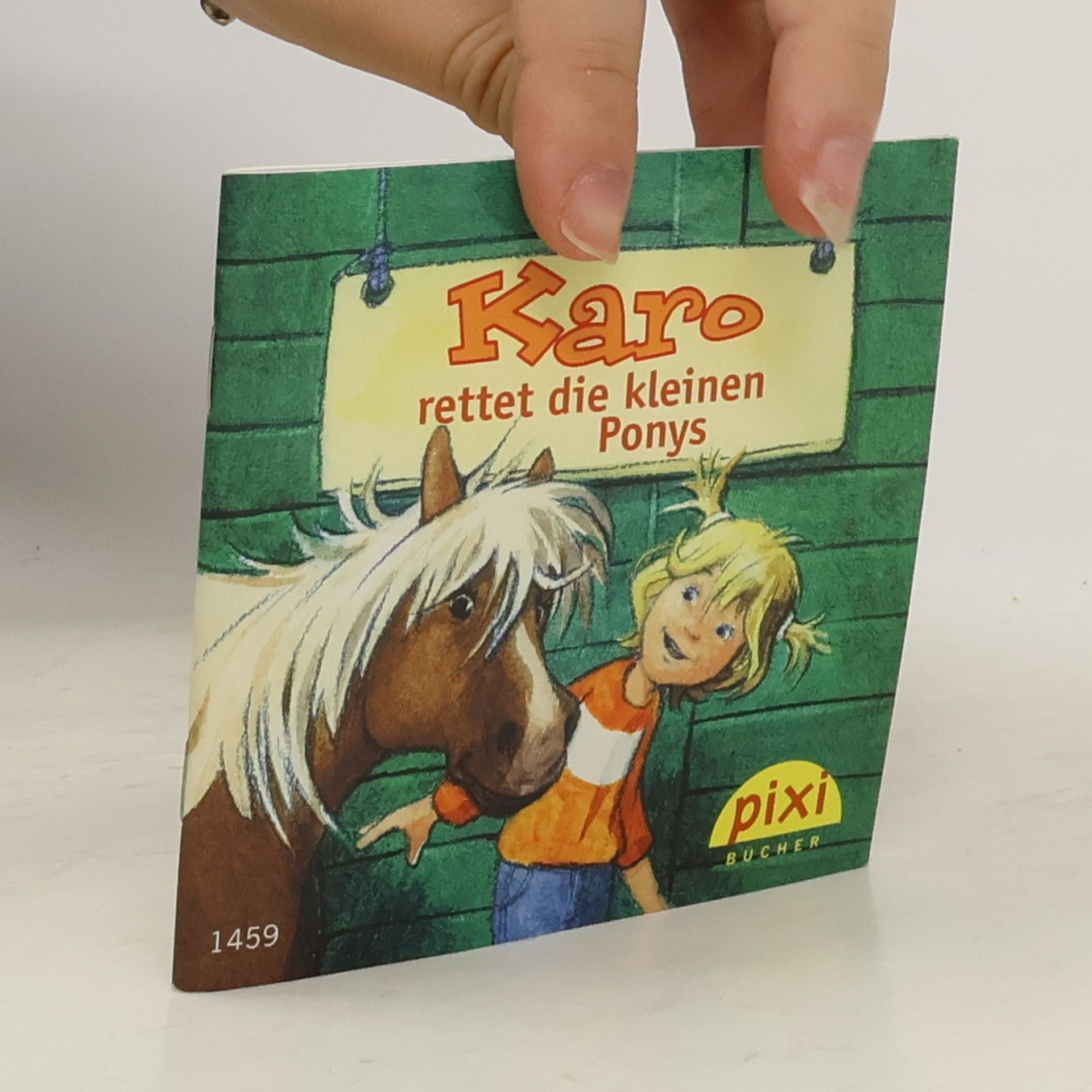Collectif d'auteurs Karo rettet die kleinen Ponys