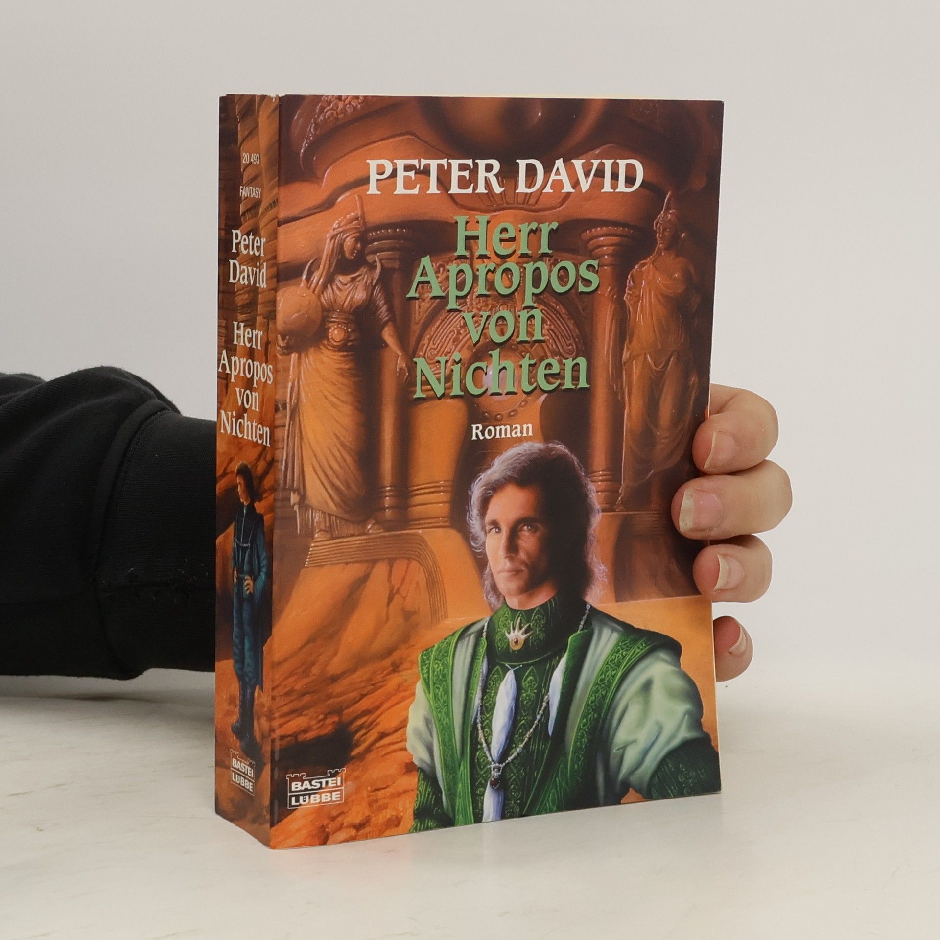 P. David Herr Apropos von Nichten. Roman