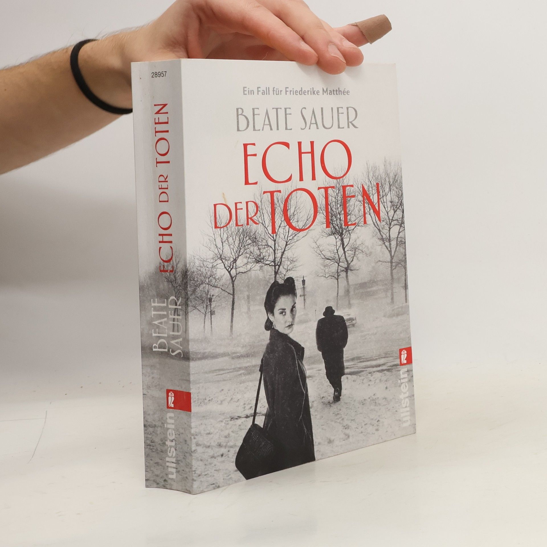 Beate Sauer Echo der Toten