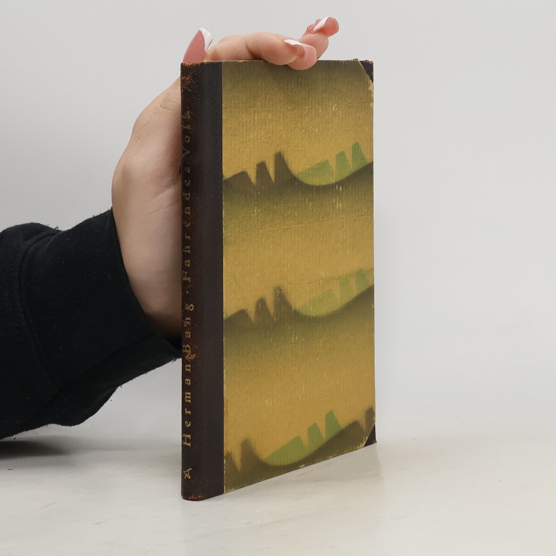 Fahrendes Volk und andere Erzahlungen