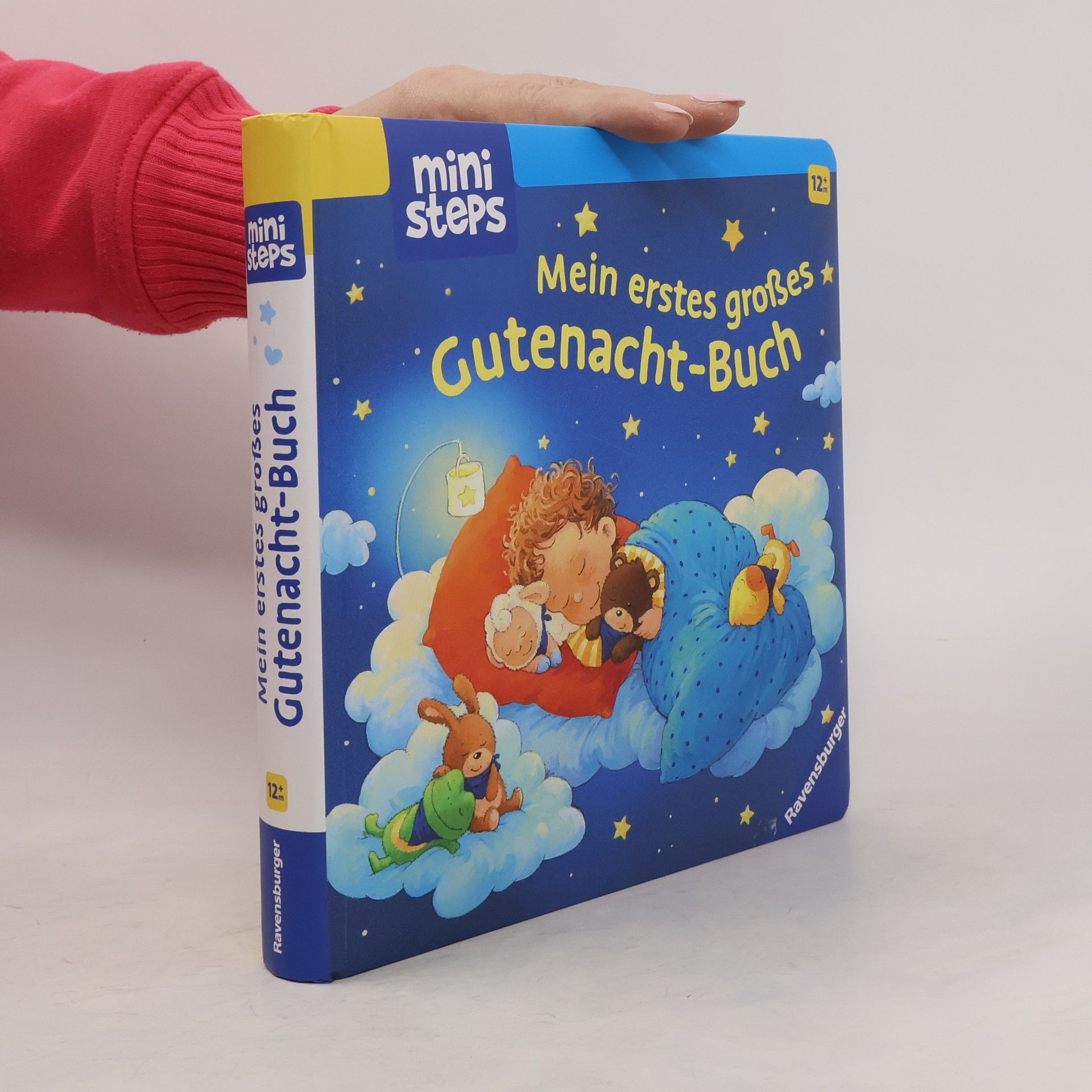 Sandra Grimm ministeps: Mein erstes großes Gutenacht-Buch