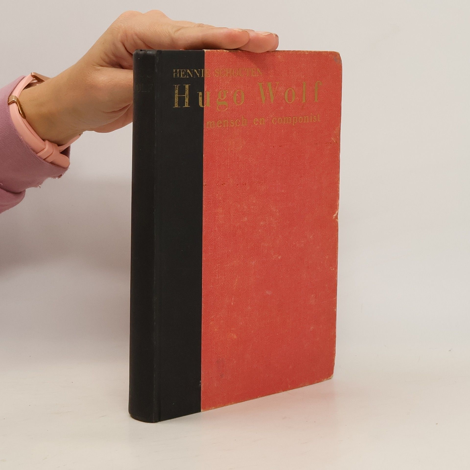 Hugo Wolf, Mensch en Componist