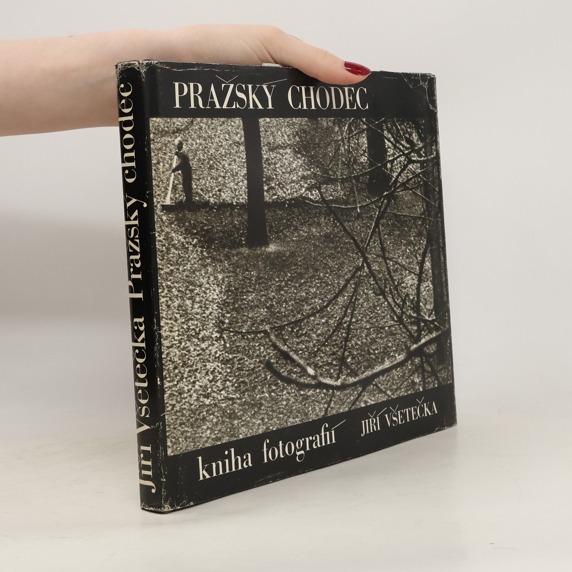 Jiří Všetečka Pražský chodec