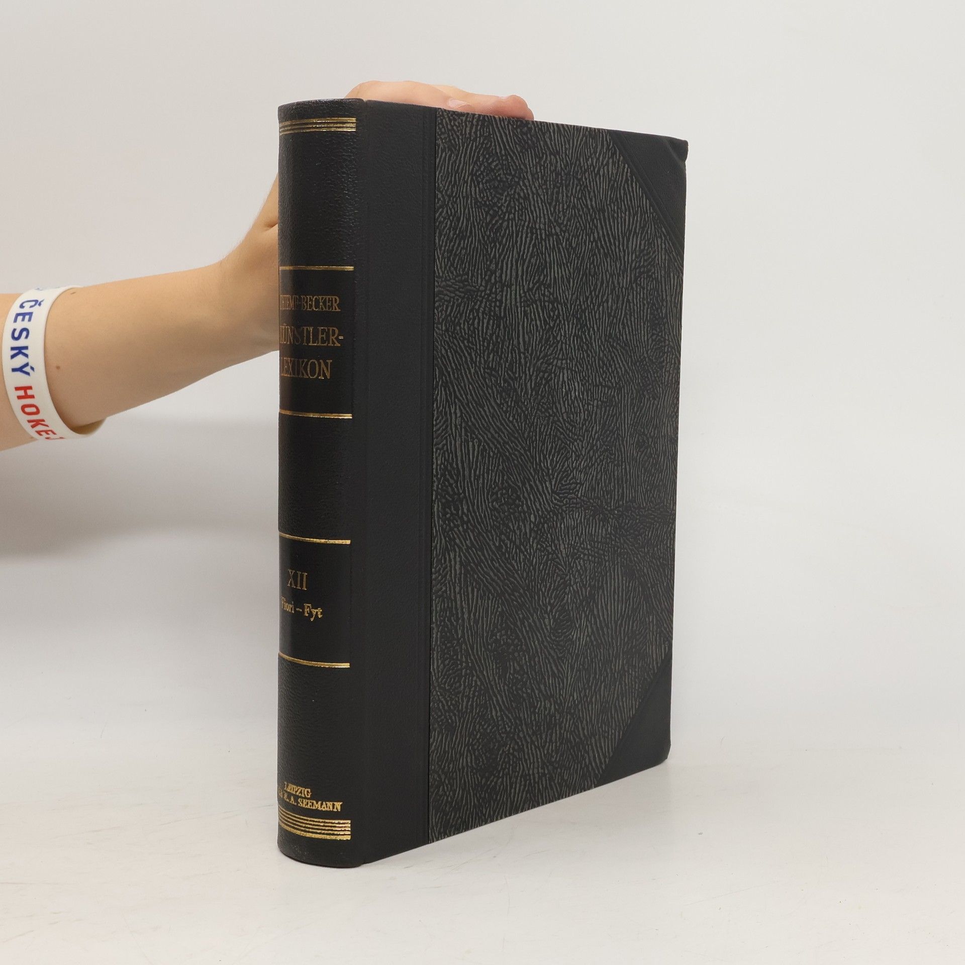 Ulrich Thieme Allgemeines Lexikon der bildenden Künstler von der Antike bis zur Gegenwart XII.