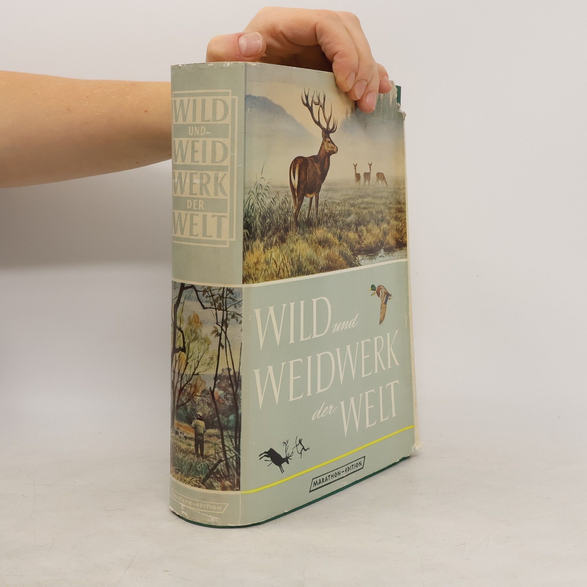 Kolektív autorov Wild und Weidwerk der Welt