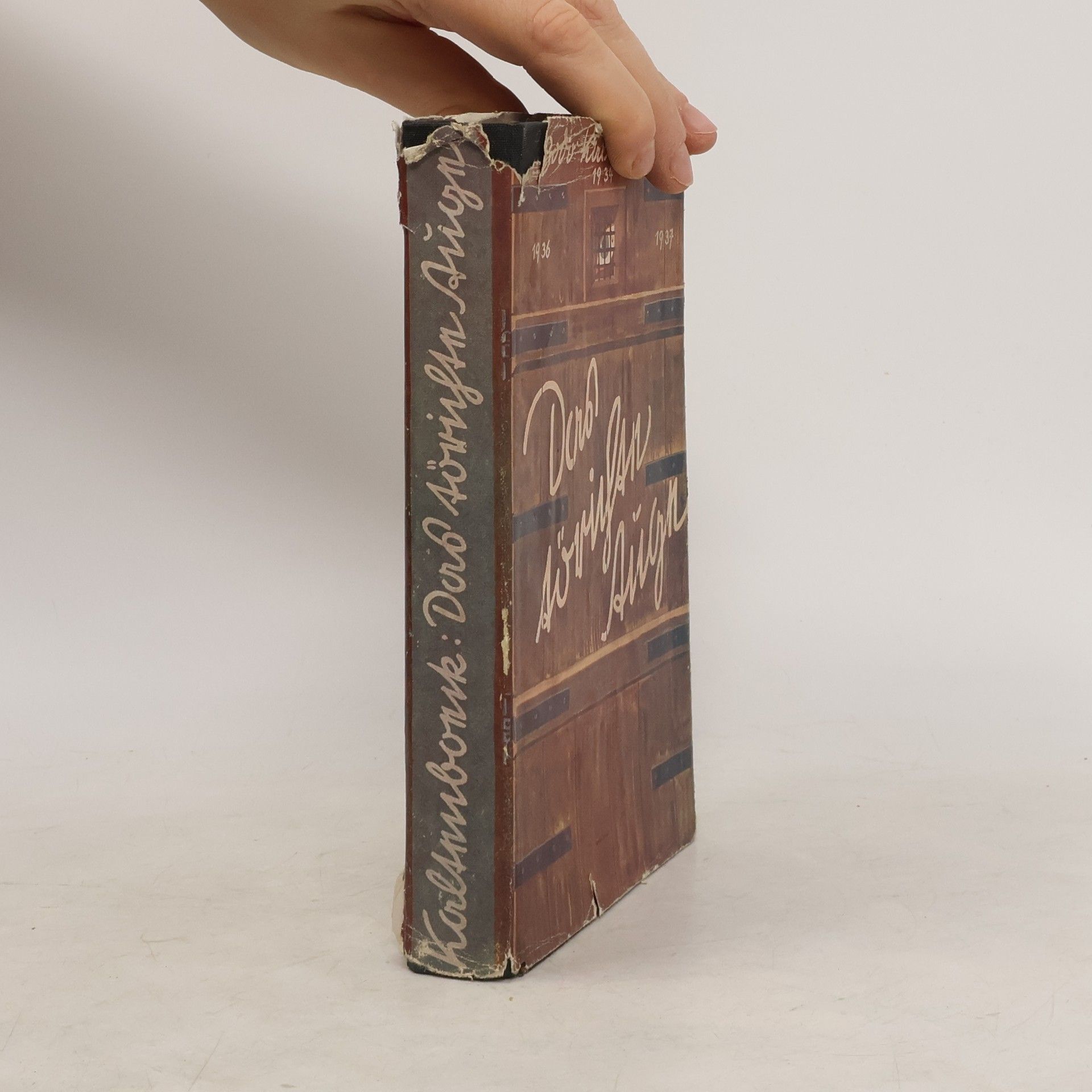 Bodo Kaltenböck Das törichte Auge