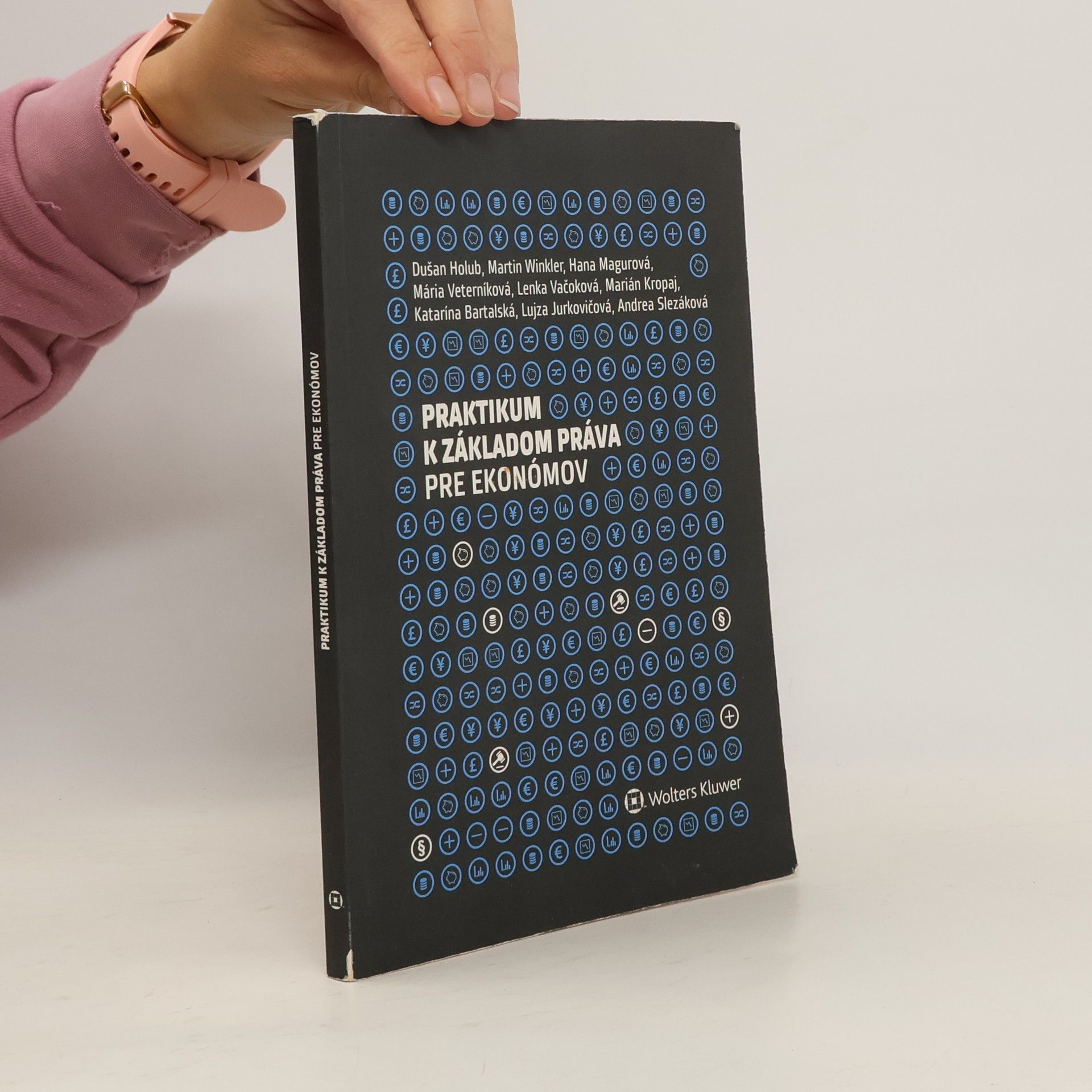 Collectif d'auteurs Praktikum k základom práva pre ekonómov