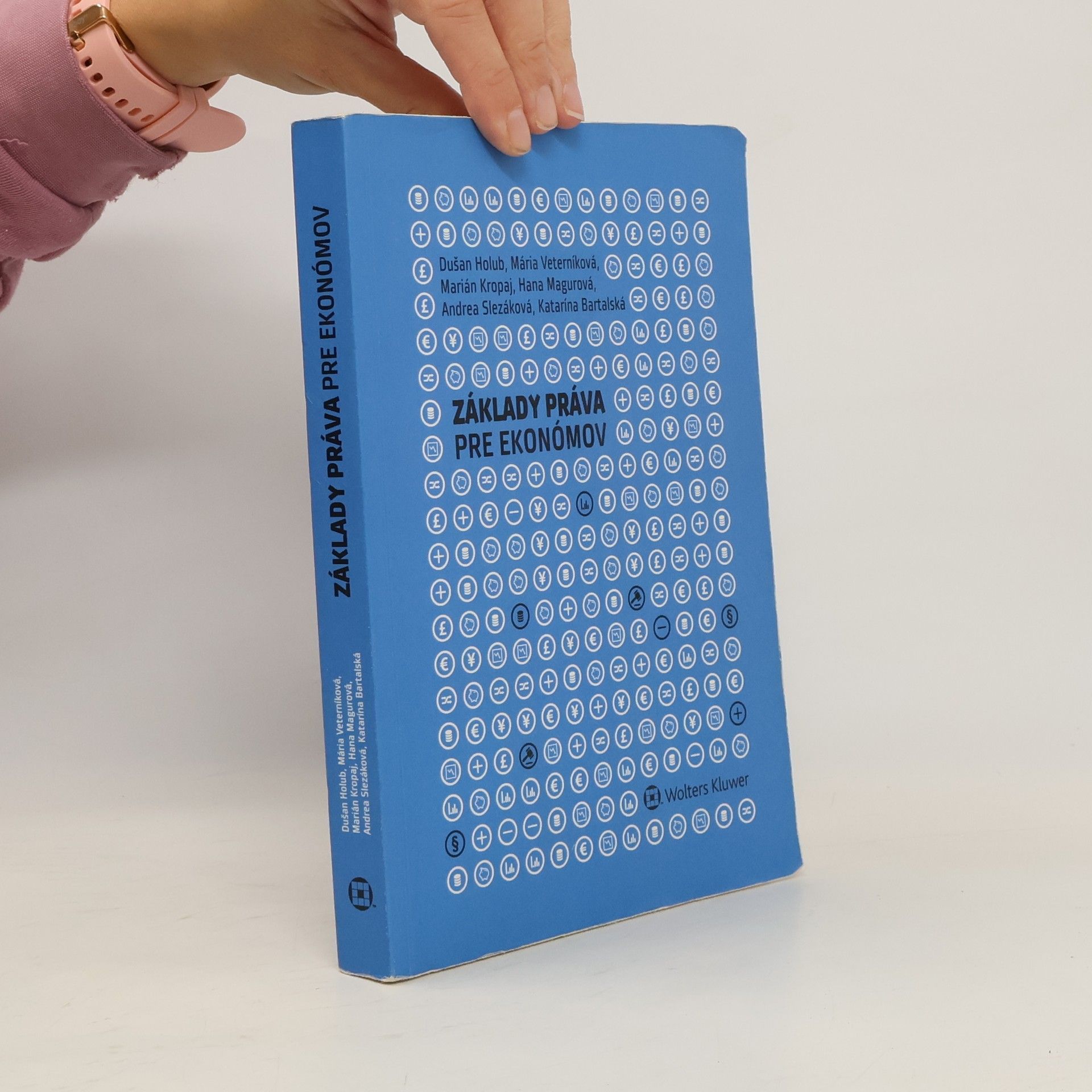 Collectif d'auteurs Základy práva pre ekonómov
