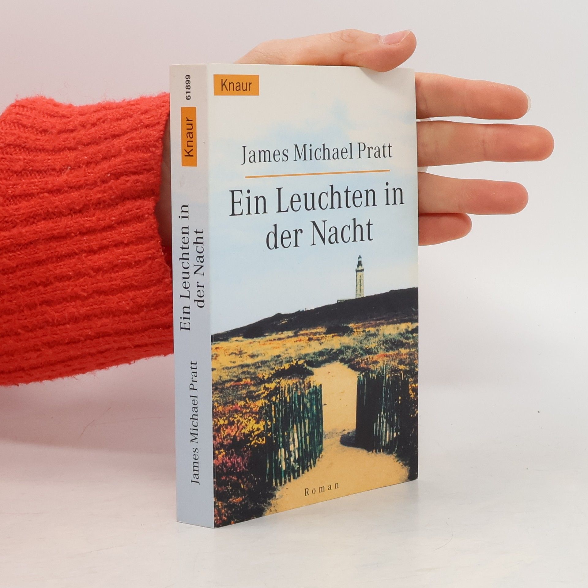 Ein Leuchten in der Nacht