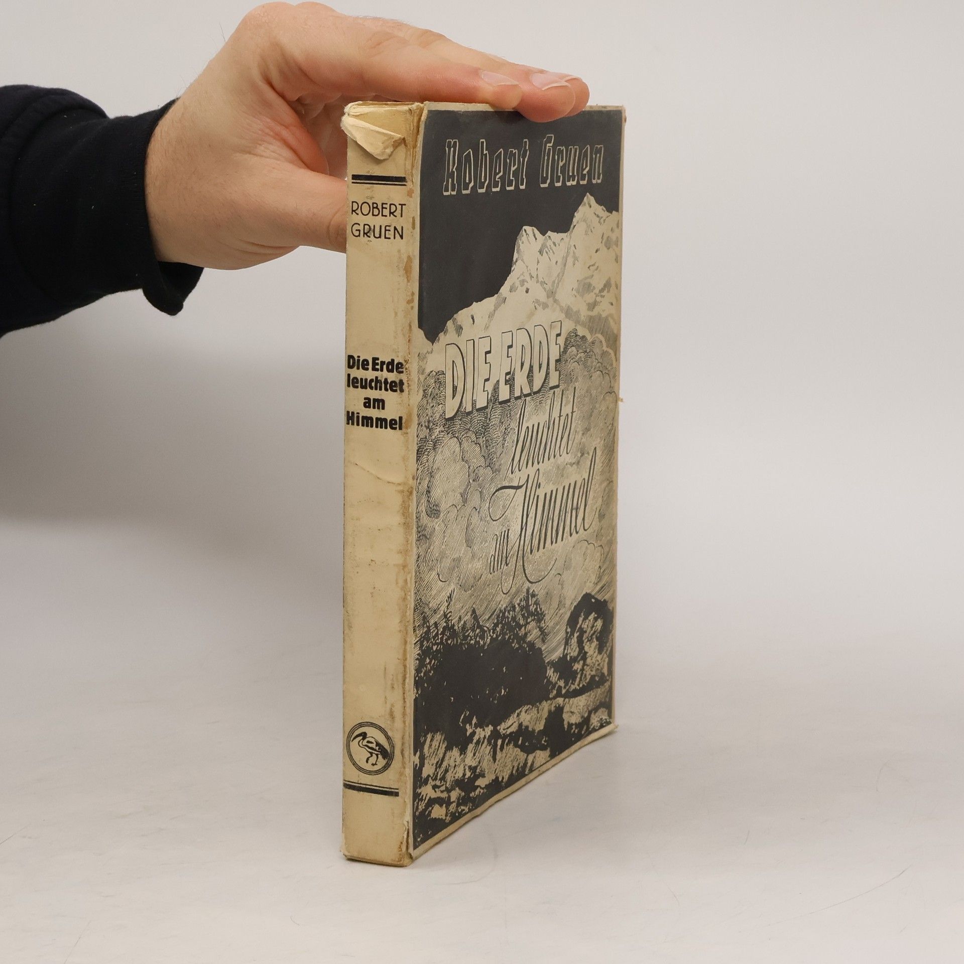 Robert Gruen Die Erde leuchtet am Himmel