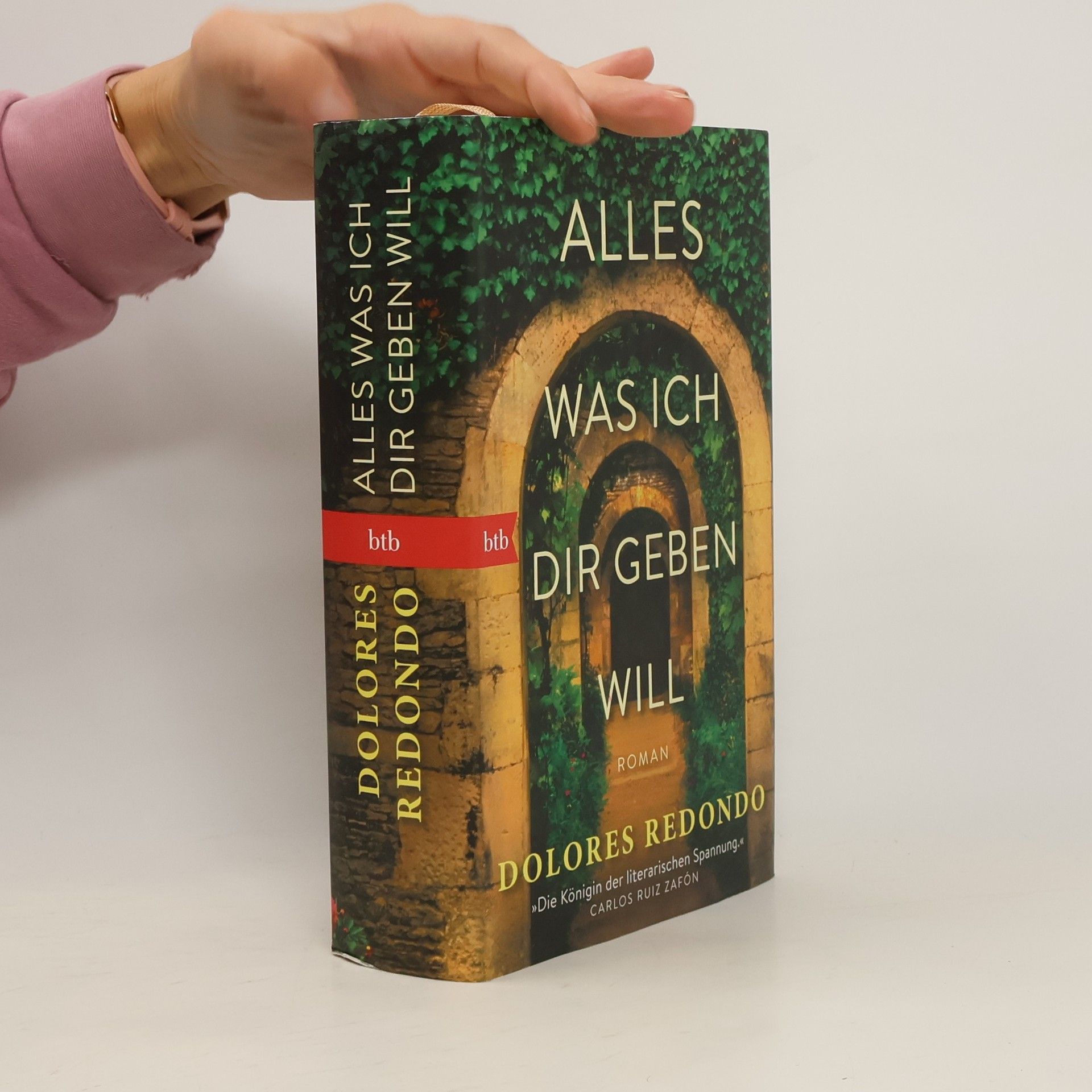 Dolores Redondo Alles was ich dir geben will