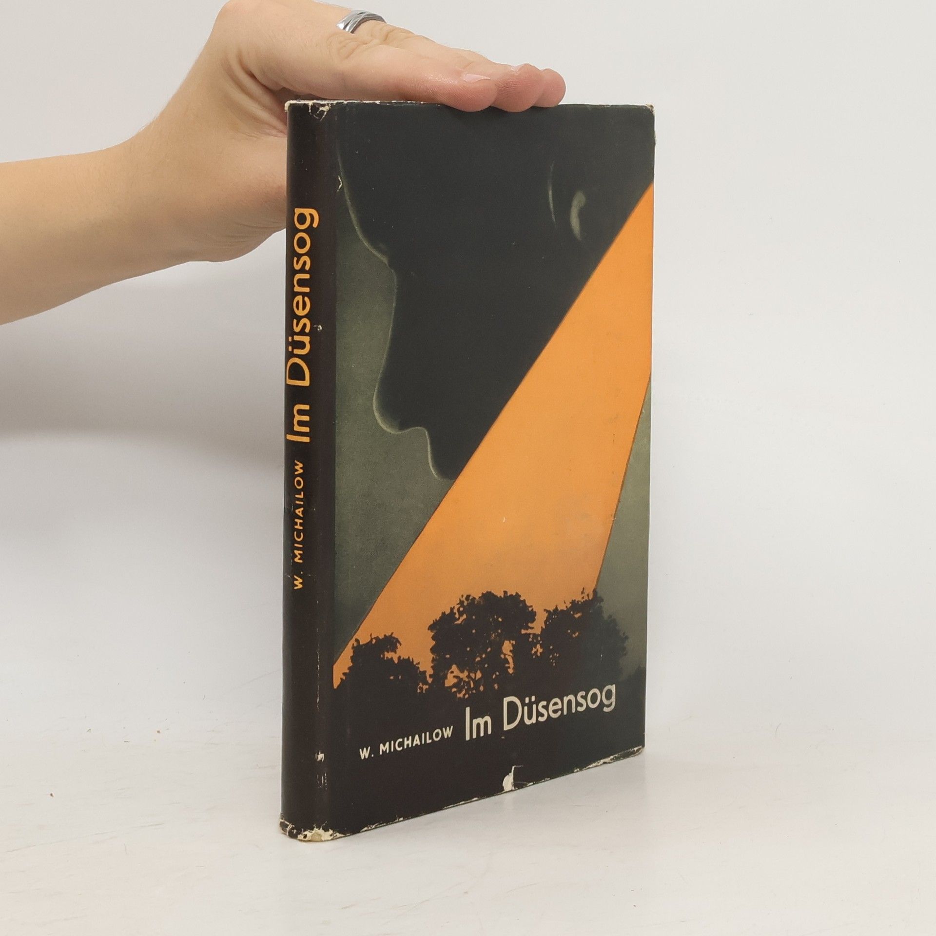 Viktor A. Michajlov Im Düsensog