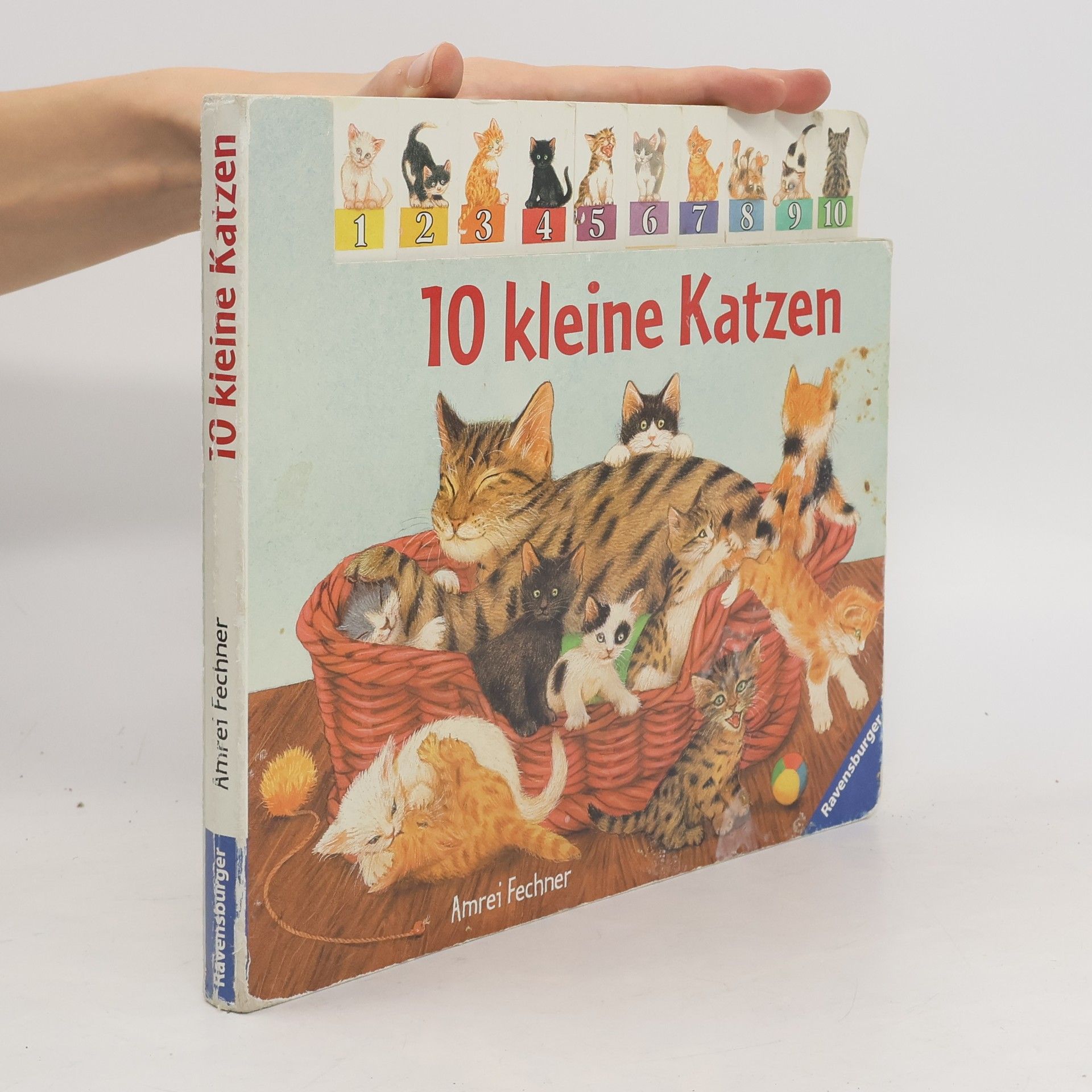 Amrei Fechner 10 kleine Katzen
