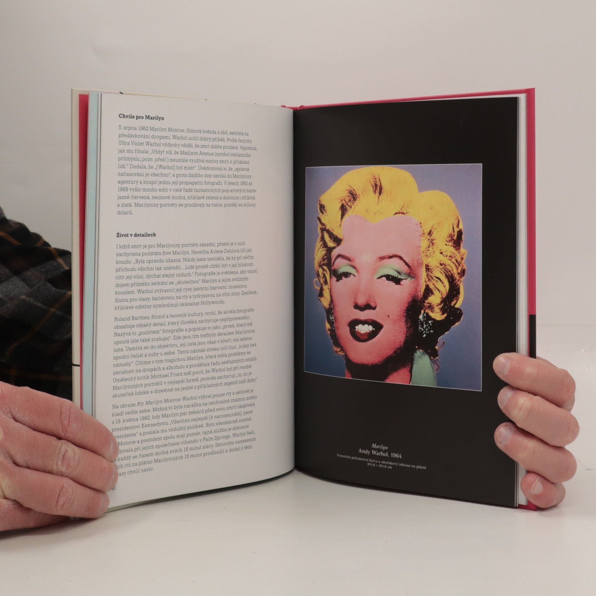 Catherine Ingram Seznamte se: Warhol