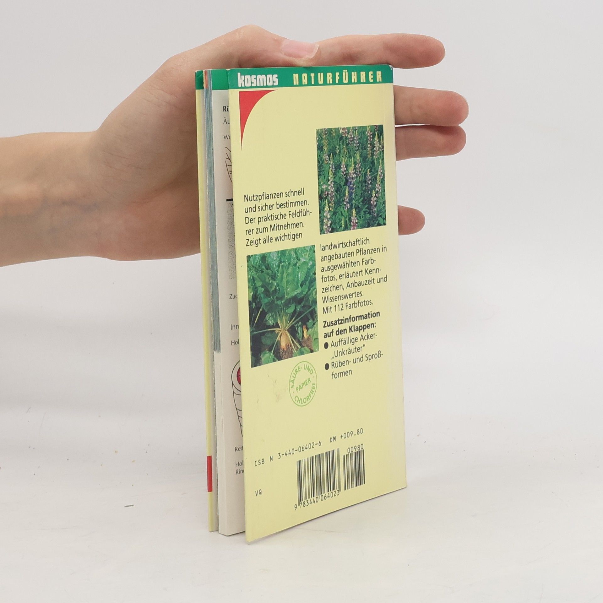 Wilfried Huber Feldfrüchte