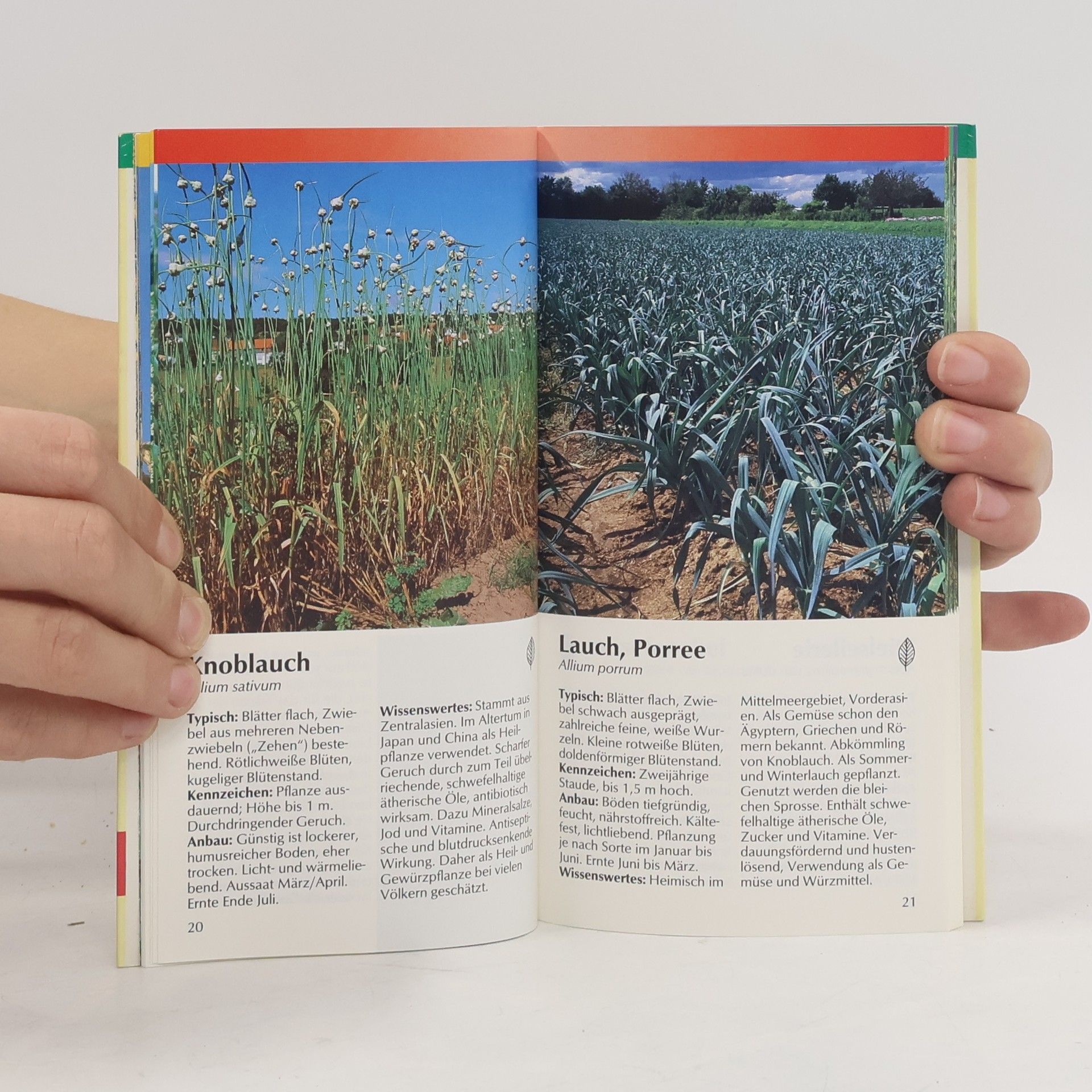 Wilfried Huber Feldfrüchte