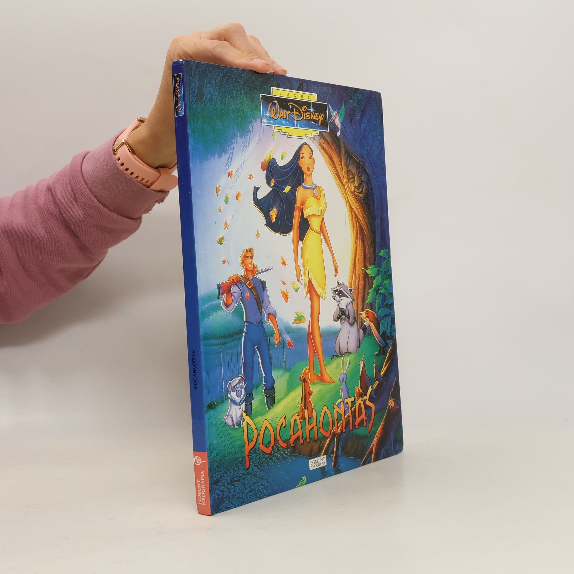 Walt Disney Pocahontas