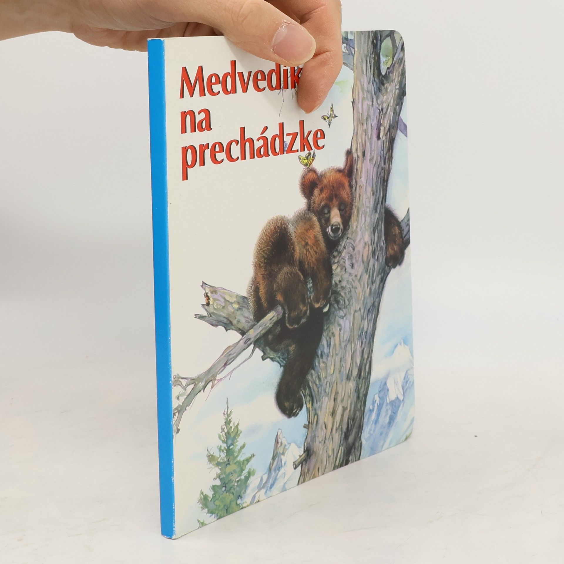 Collectif d'auteurs Medvedík na prechádzke