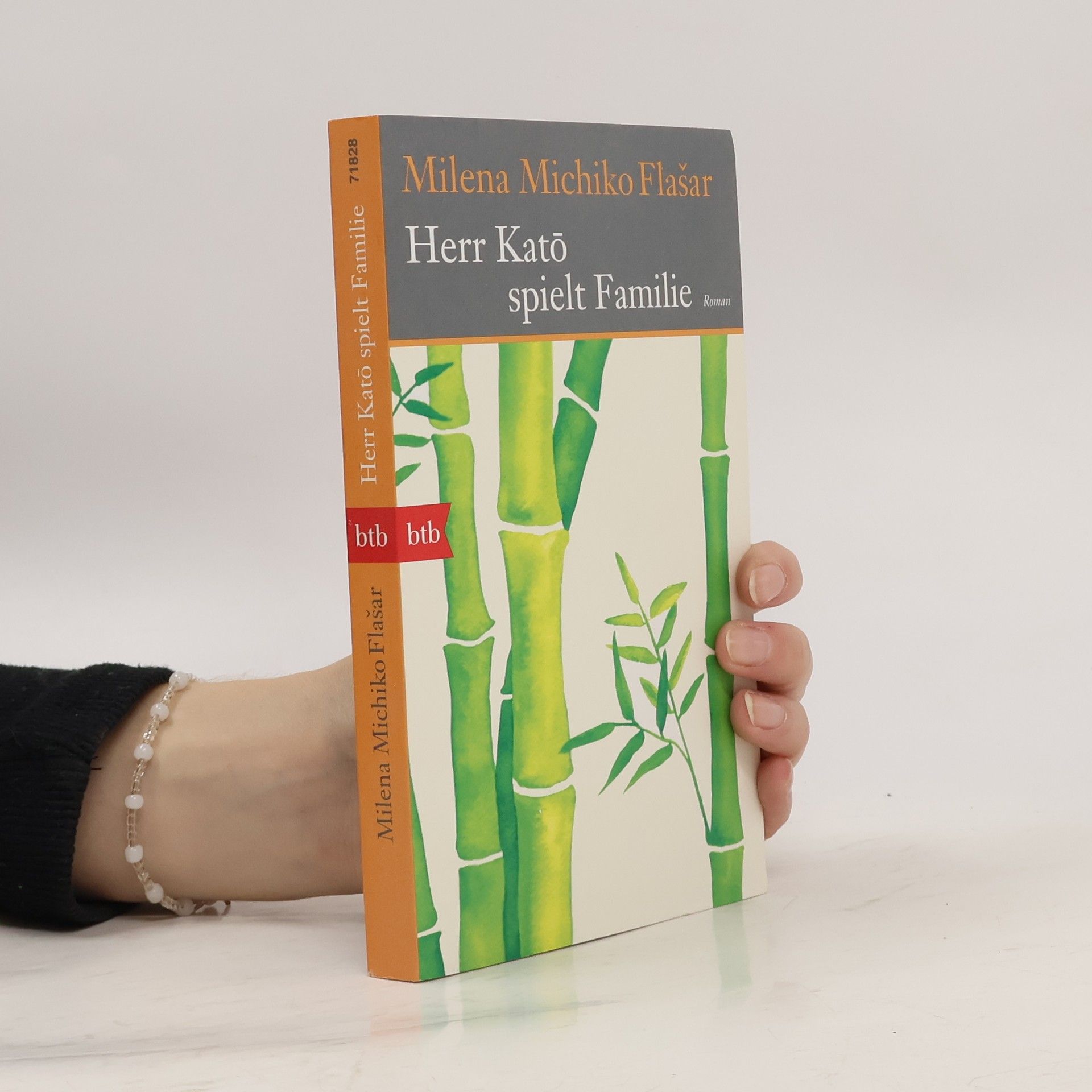 Milena Michiko Flašar Herr Katō spielt Familie