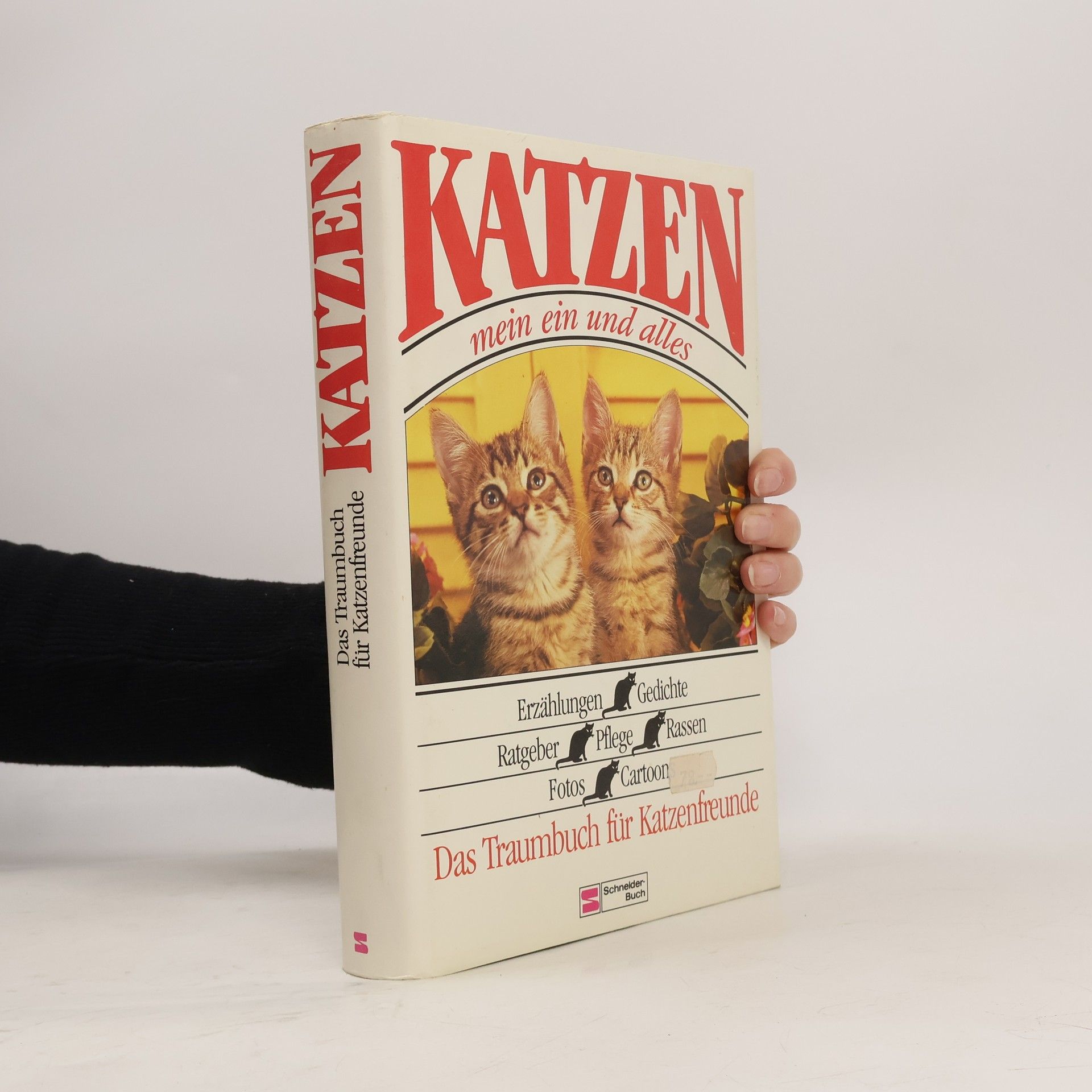 Kolektiv autorů Katzen. Mein ein und alles