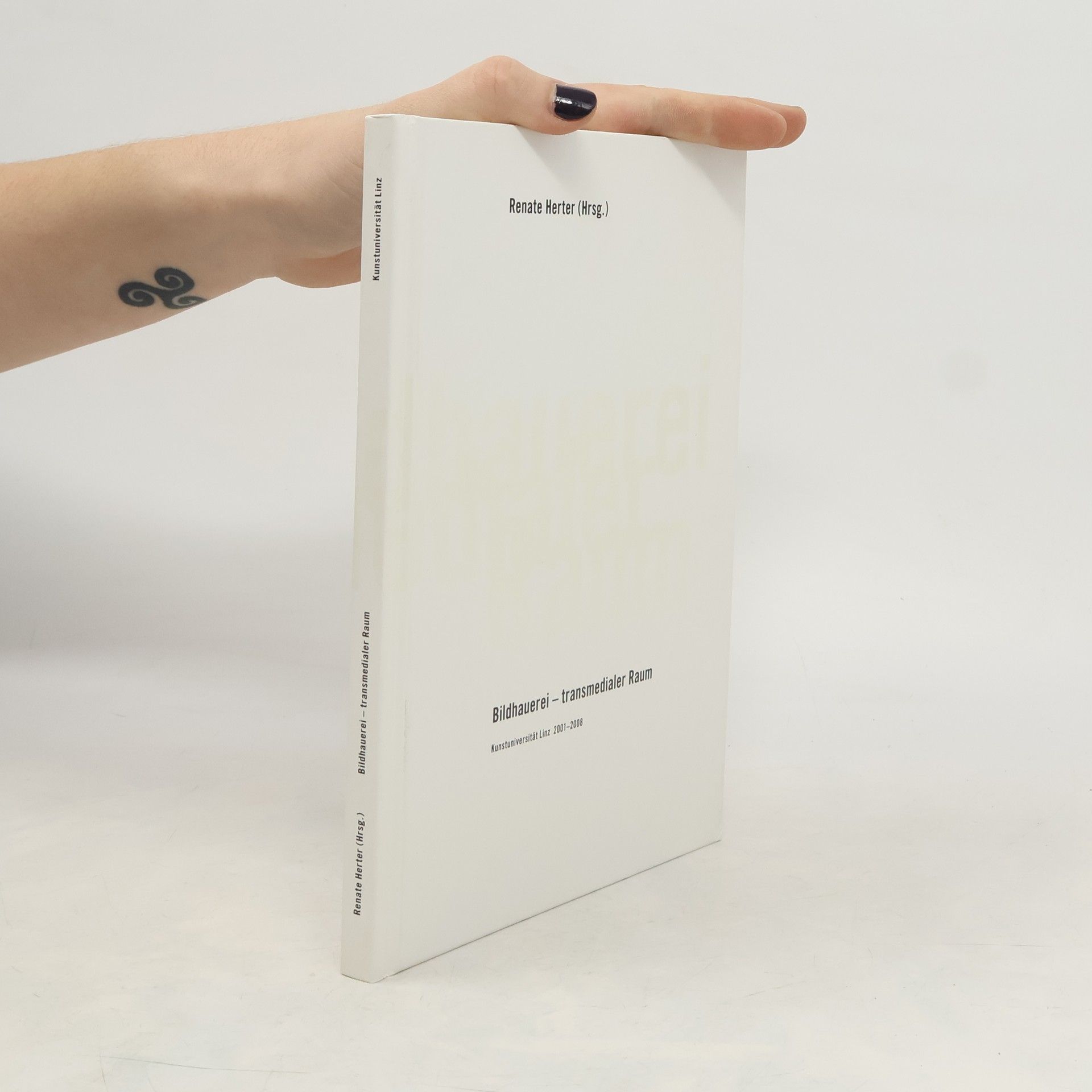 Bildhauerei - transmedialer Raum