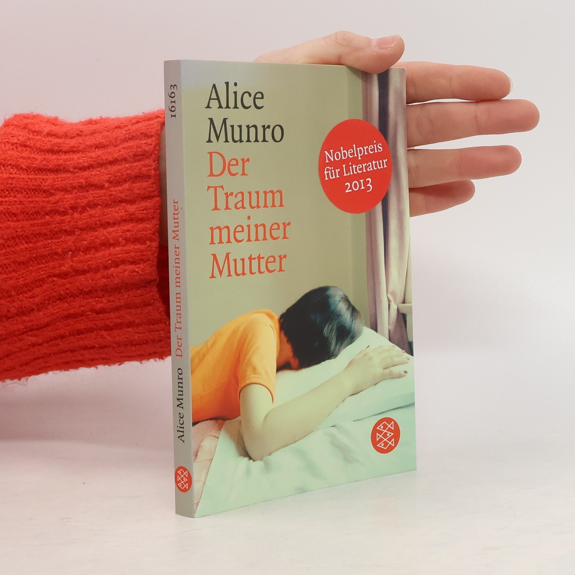 Alice Munro Der Traum meiner Mutter
