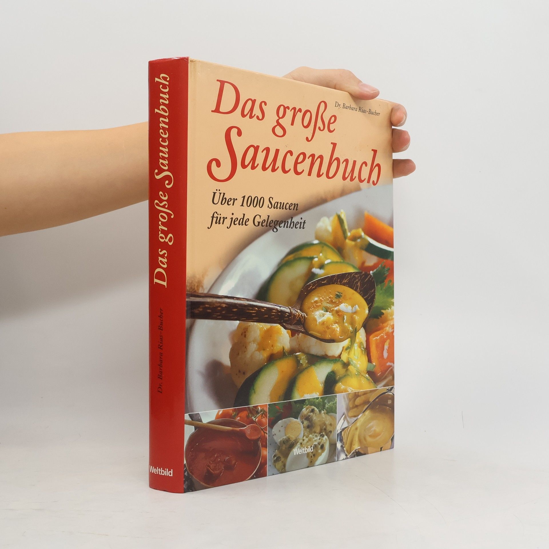 Barbara Rias-Bucher Das große Saucenbuch