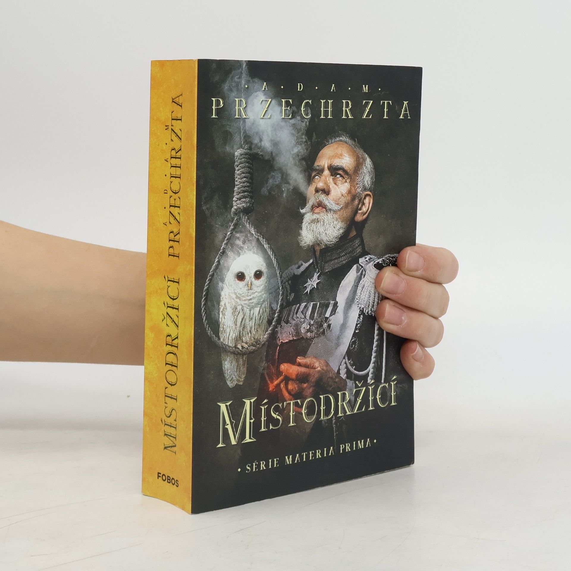 Místodržící : druhý díl série Materia prima