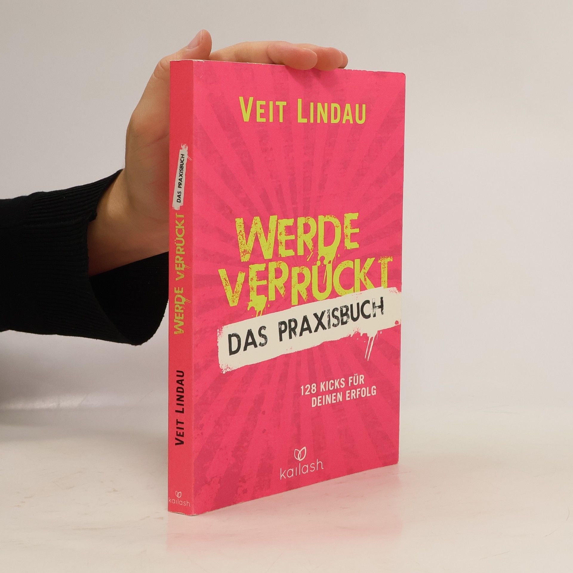 Veit Lindau Werde verrückt – Das Praxisbuch: 128 Kicks für deinen Erfolg