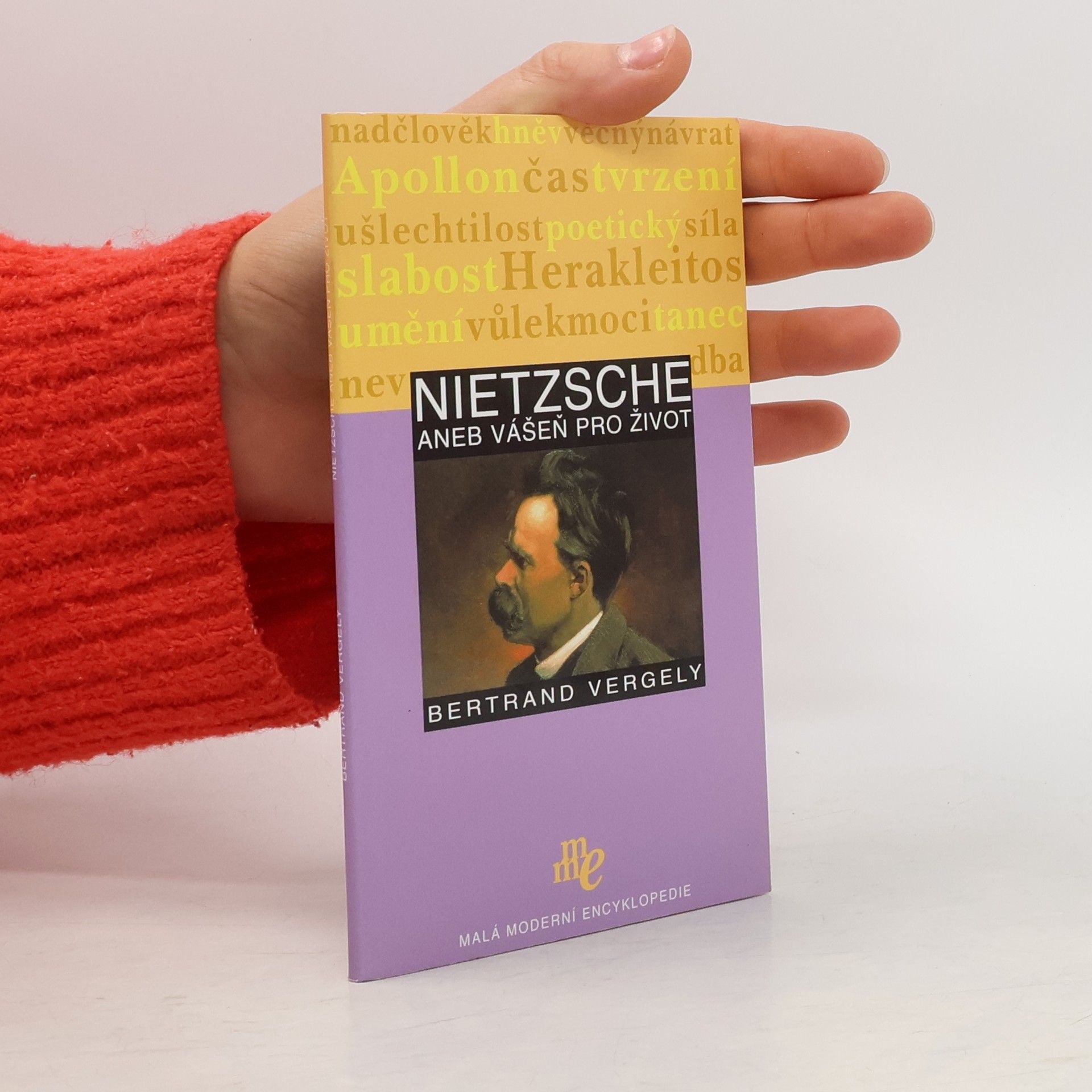 Nietzsche aneb Vášeň pro život