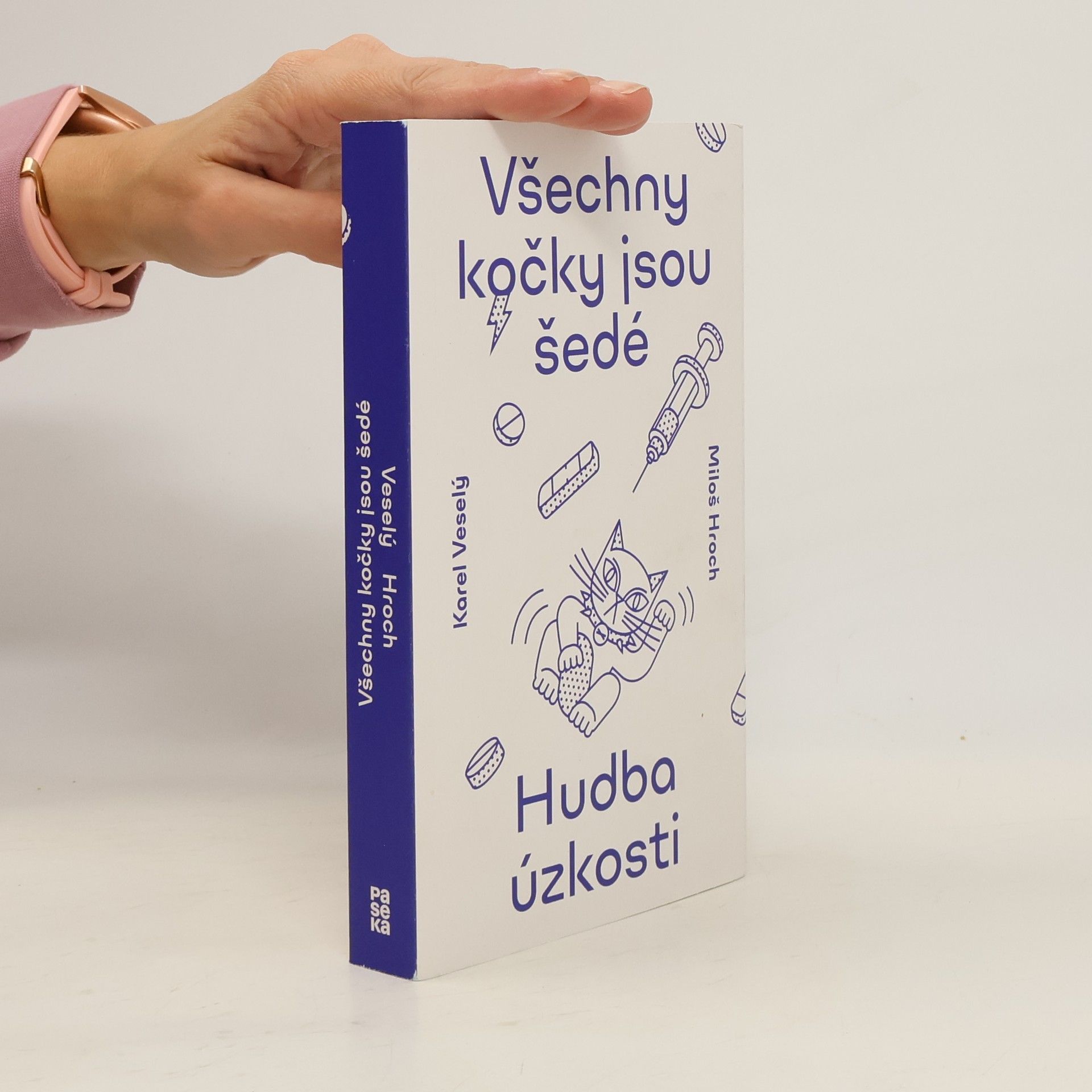 Karel Veselý Všechny kočky jsou šedé