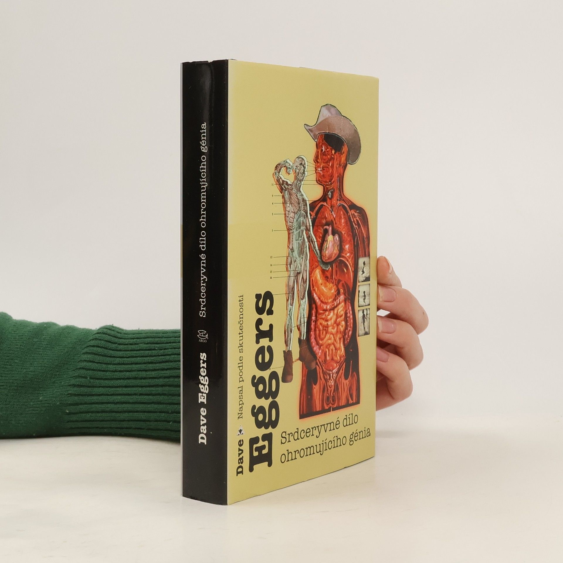 Dave Eggers Srdceryvné dílo ohromujícího génia