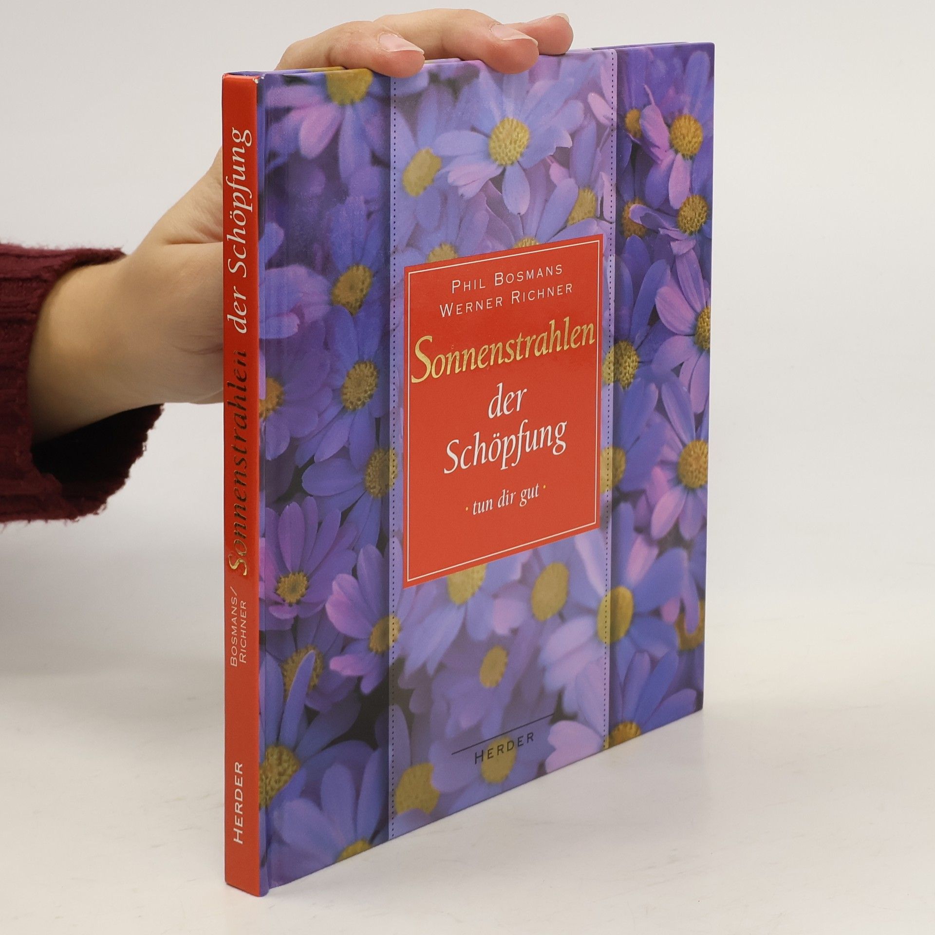 Phil Bosmans Sonnenstrahlen der Schöpfung