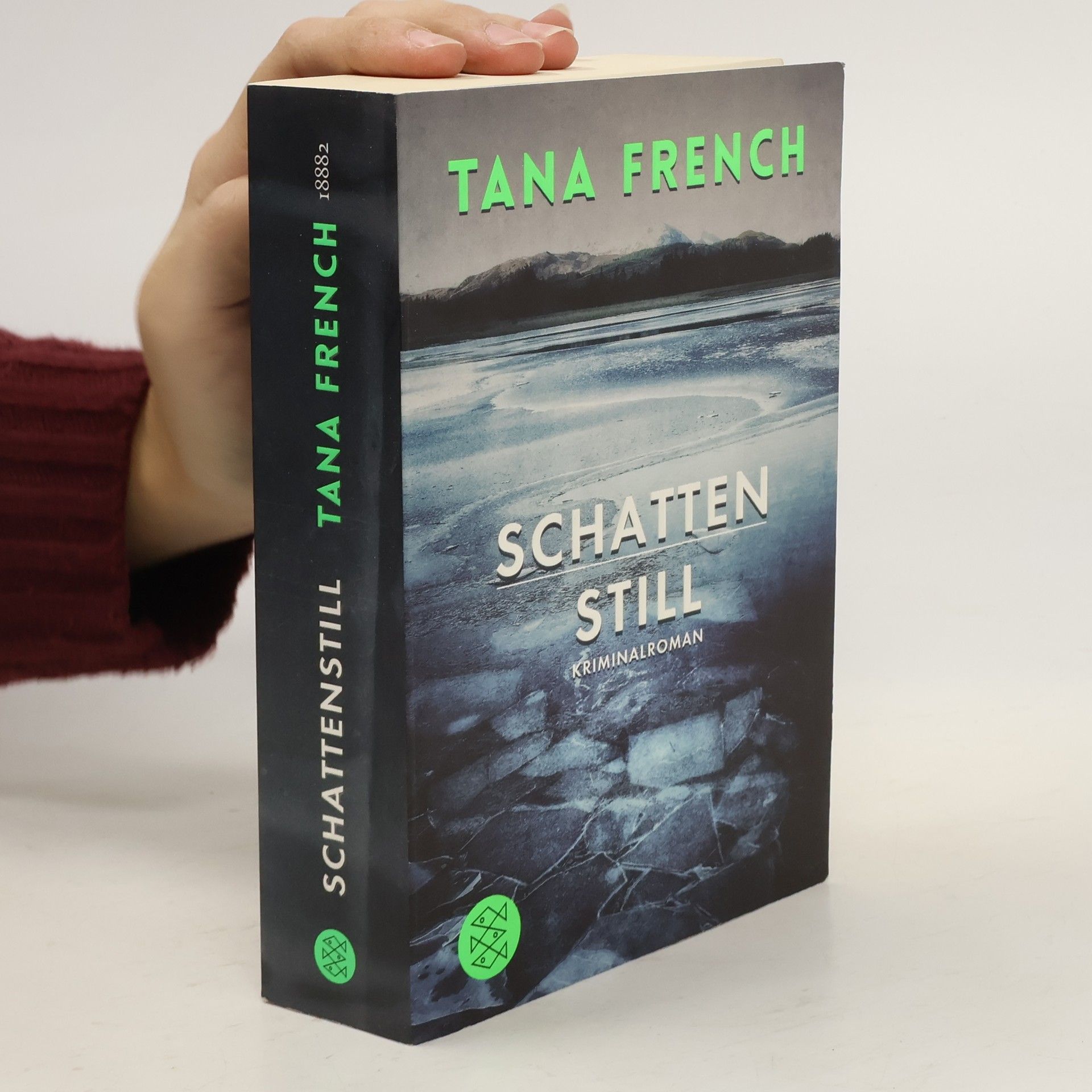 Tana French Schattenstill