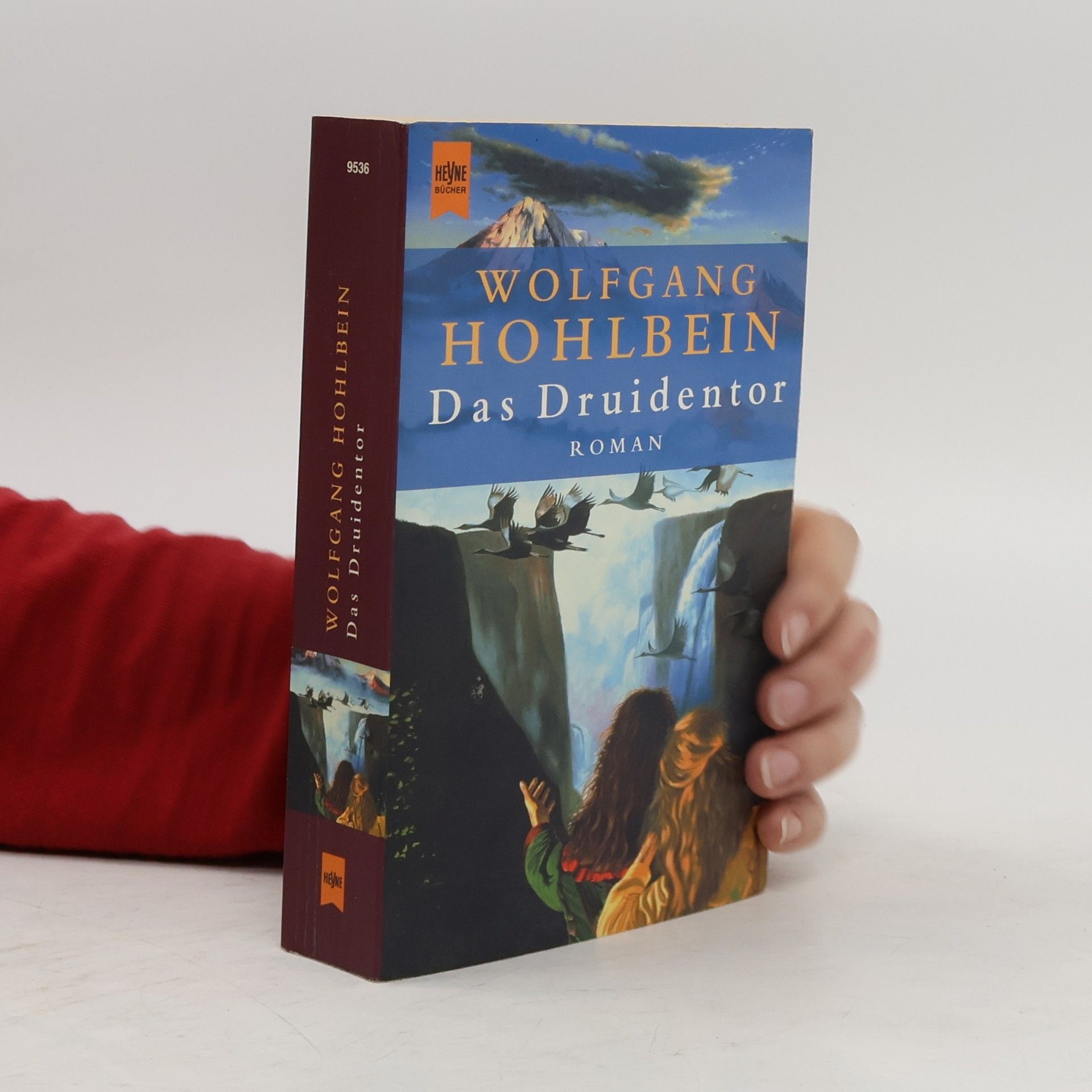 Wolfgang Hohlbein Das Druidentor