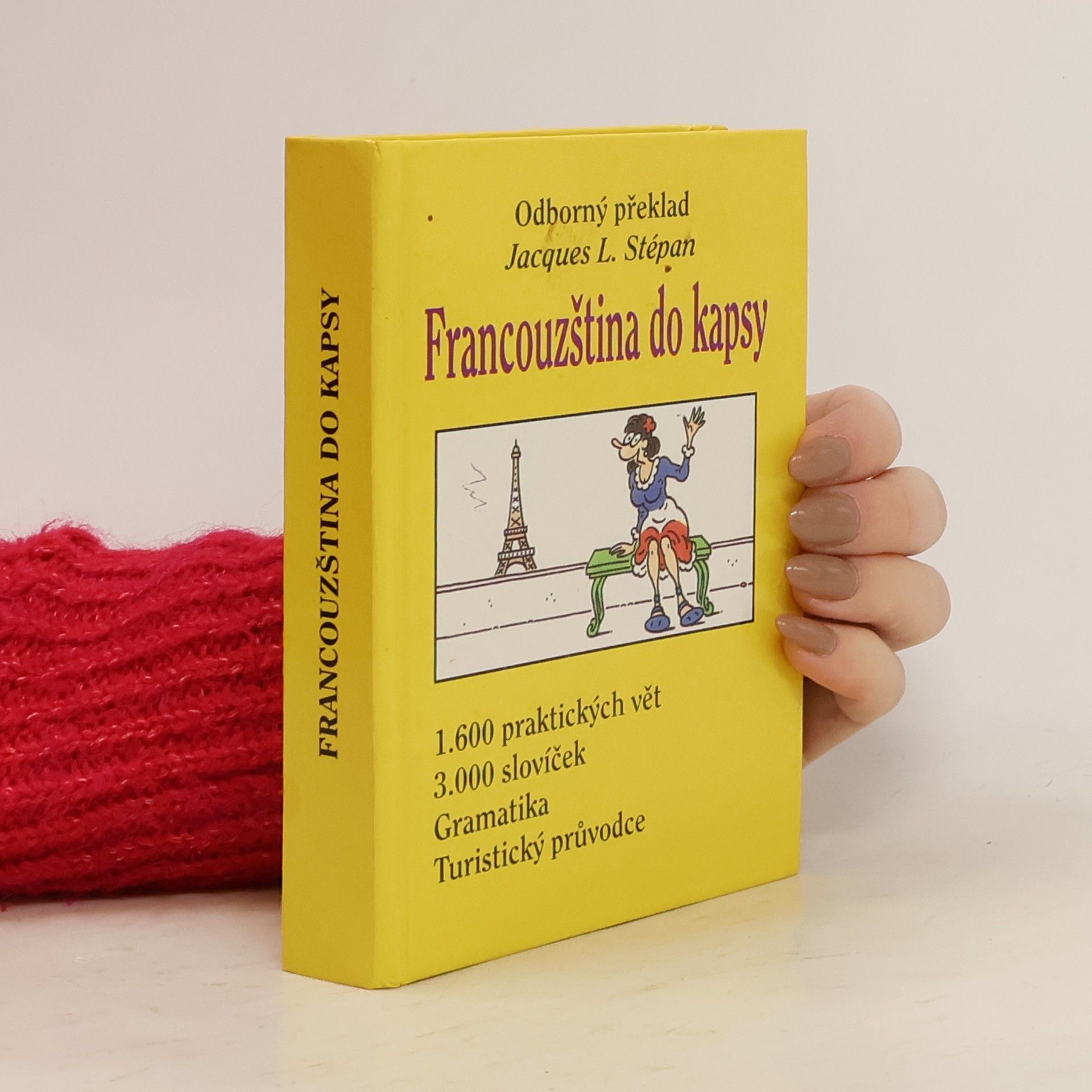 Francouzština do kapsy