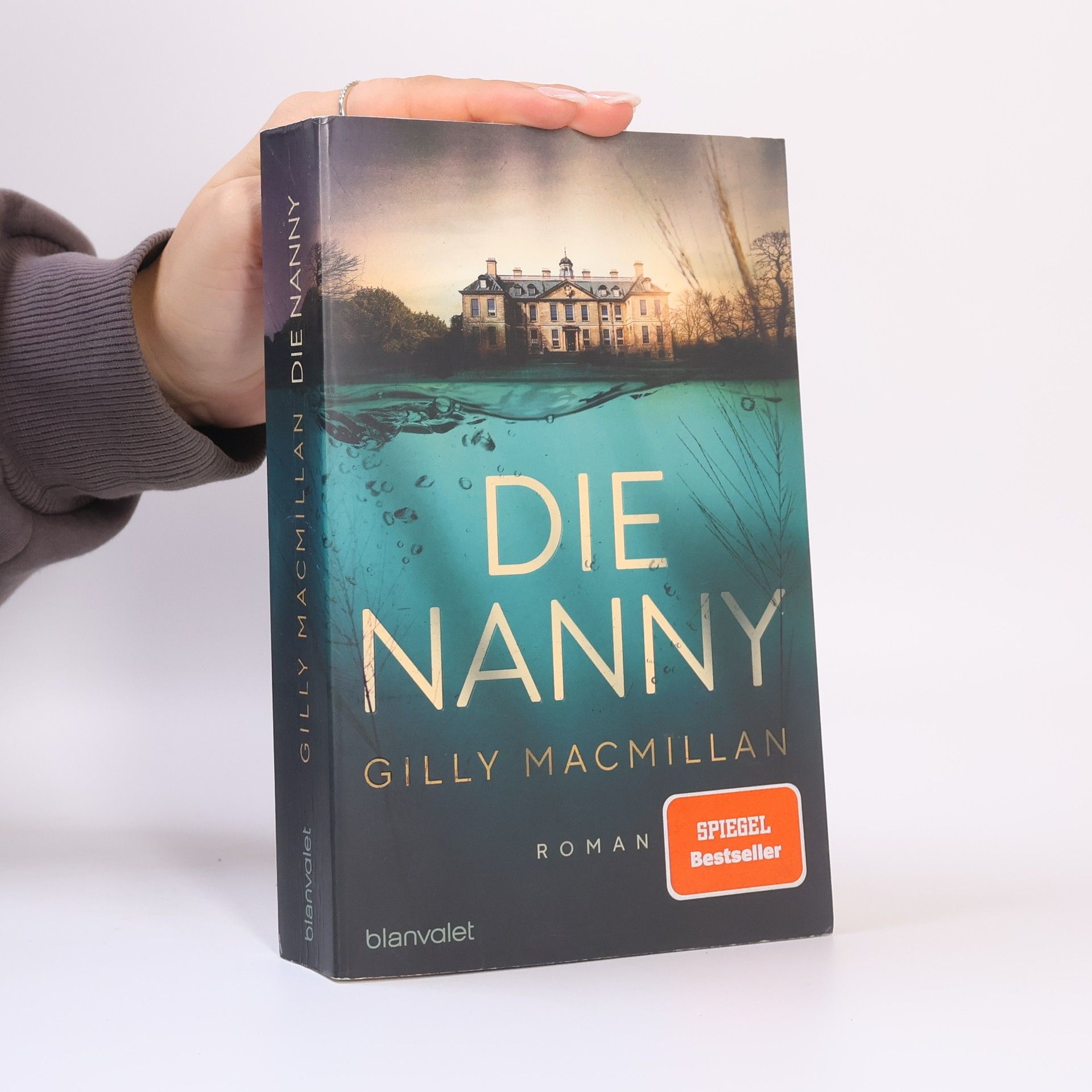Gilly Macmillan Die Nanny