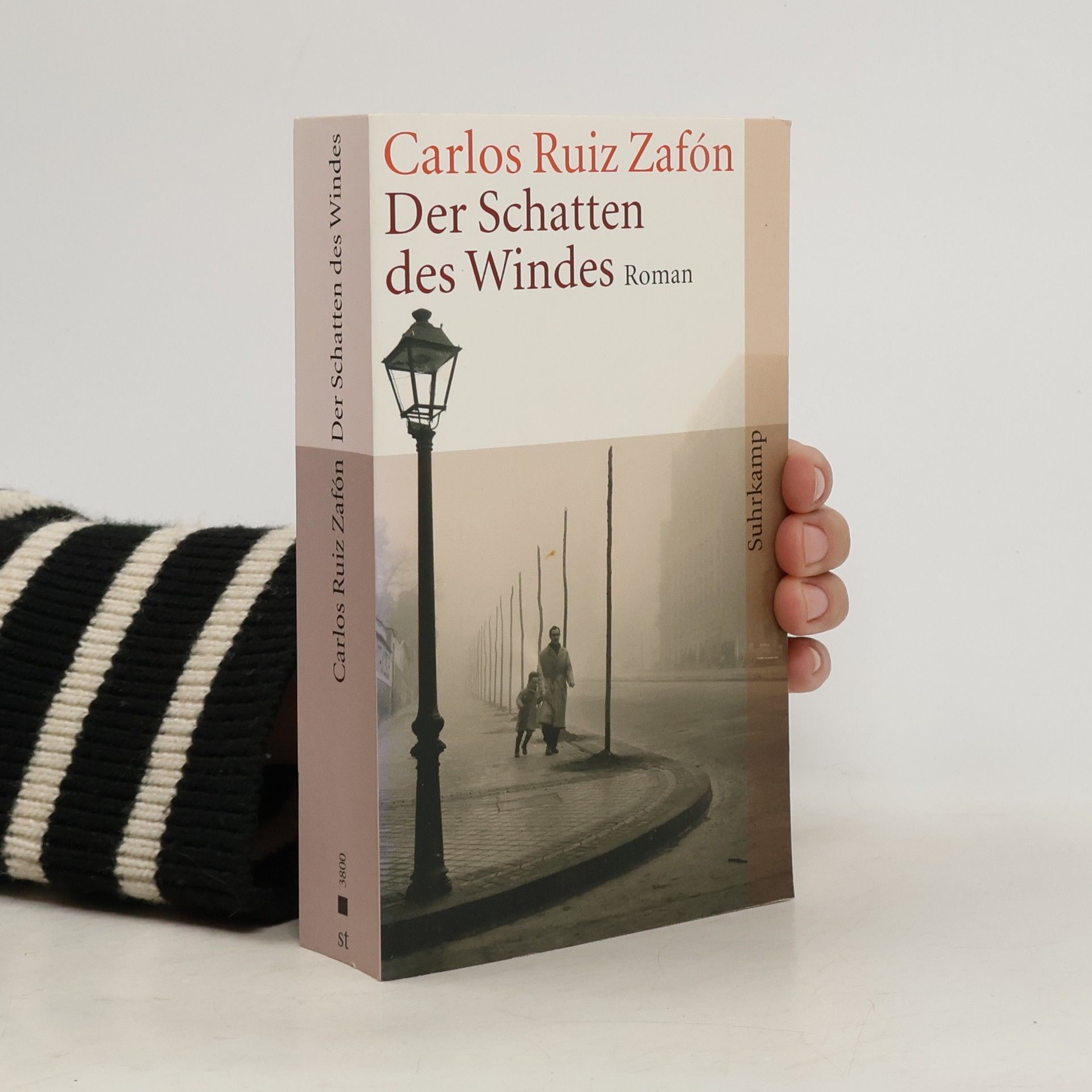 Carlos Ruiz Zafón Der Schatten des Windes
