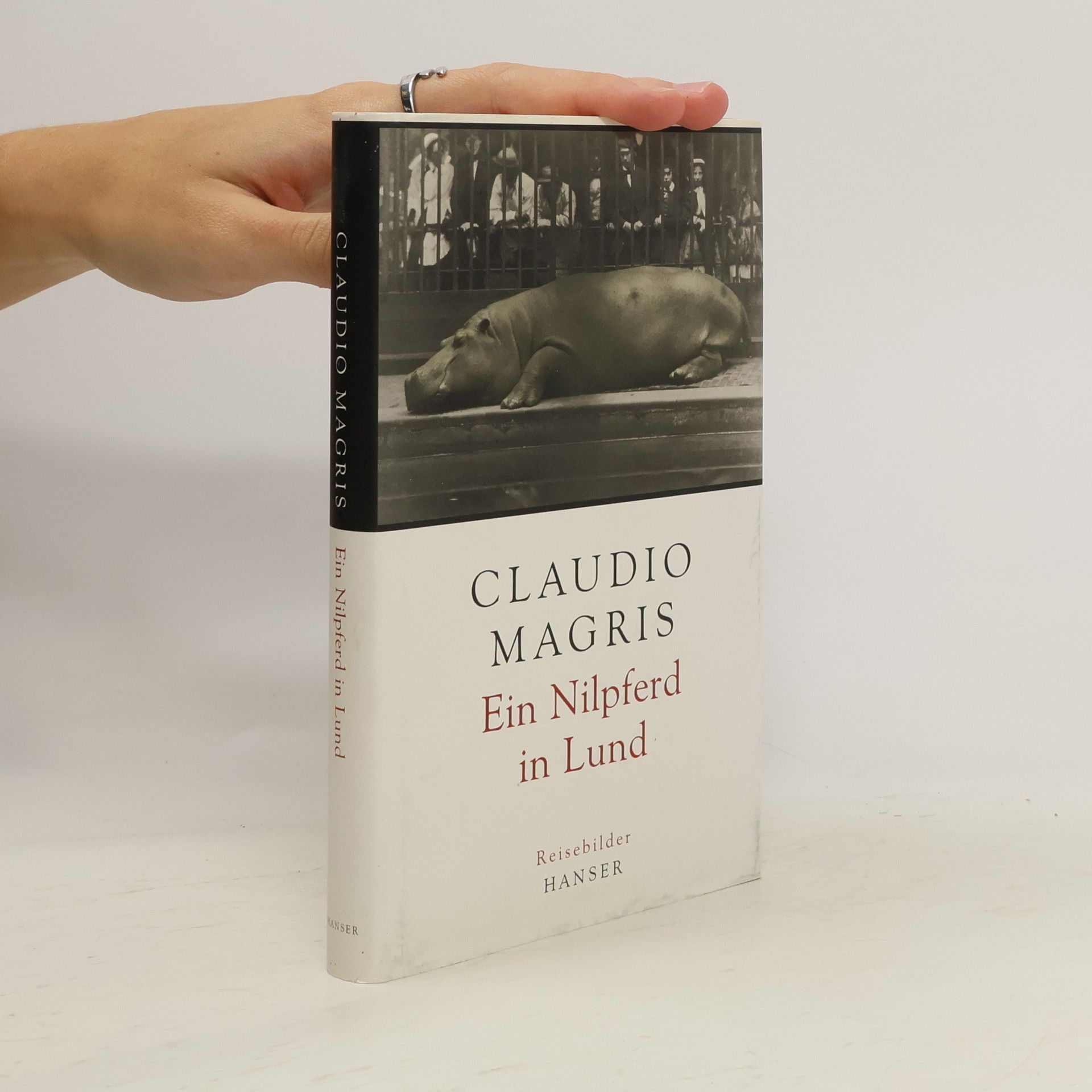 Claudio Magris Ein Nilpferd in Lund