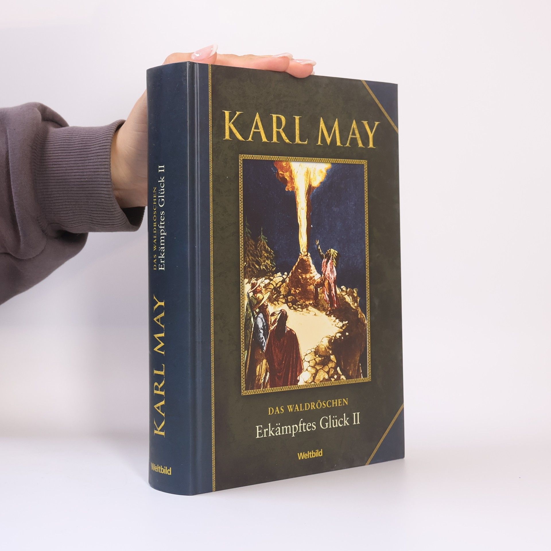 Karl May Erkämpftes Glück II.