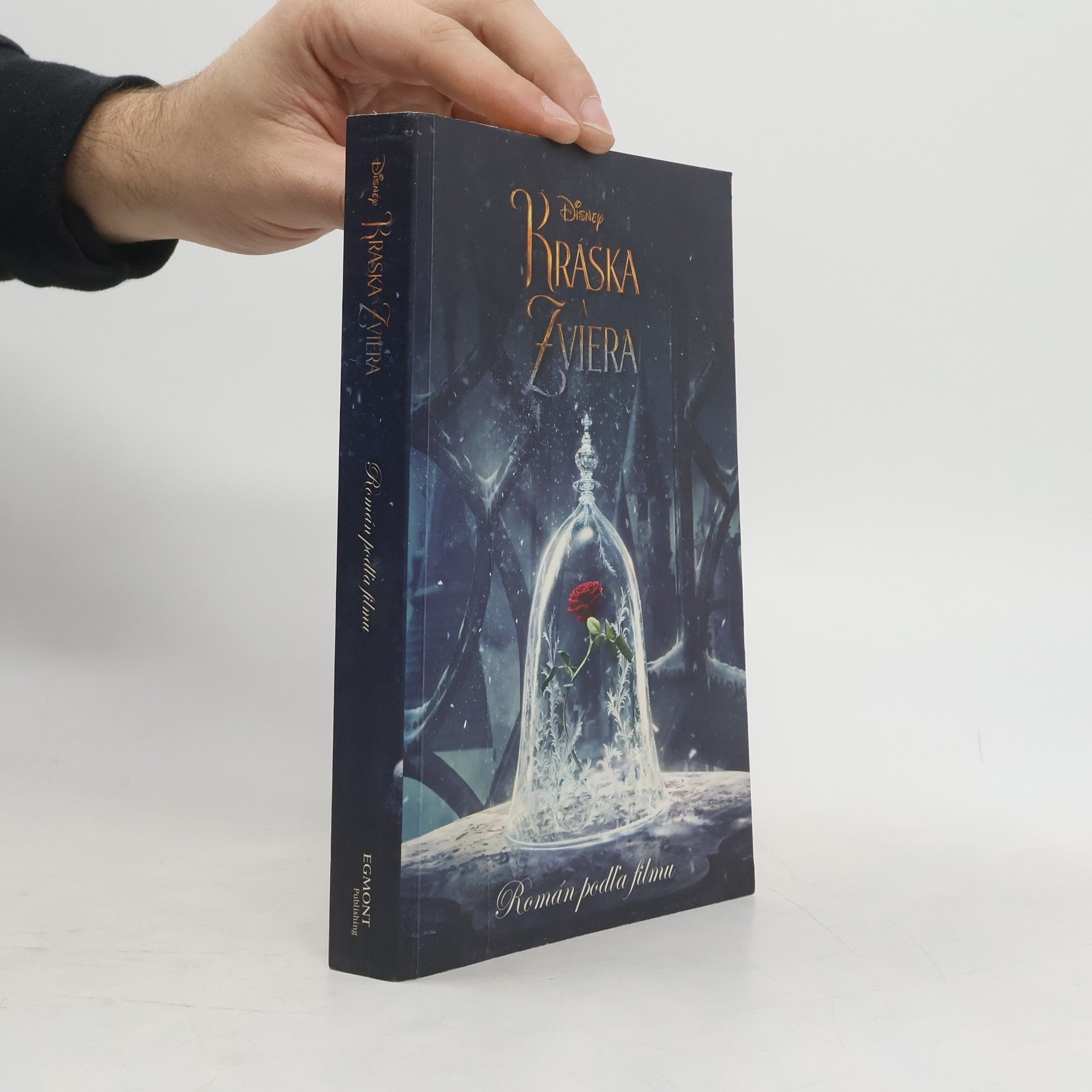 Elizabeth Rudnick Kráska a zviera - Román podľa filmu