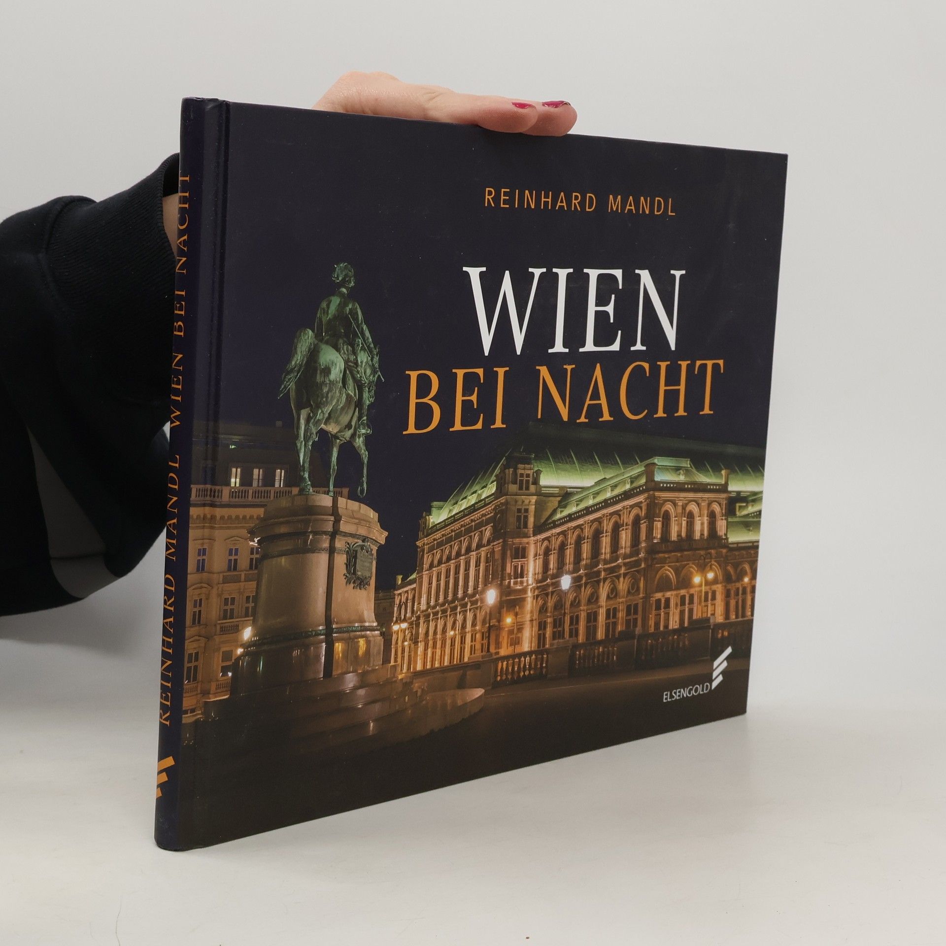 Reinhard Mandl Wien bei Nacht