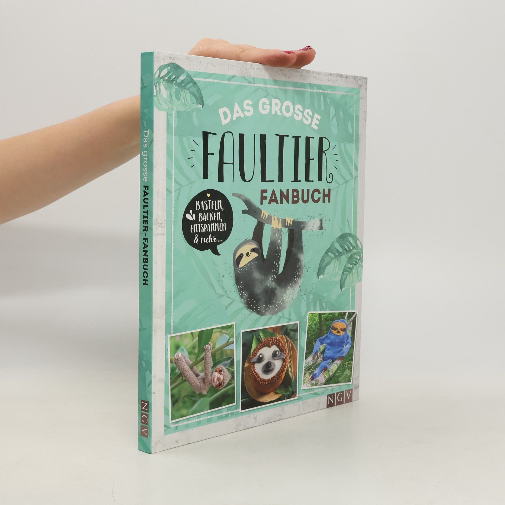 Autorenkollektiv Das große Faultier-Fanbuch