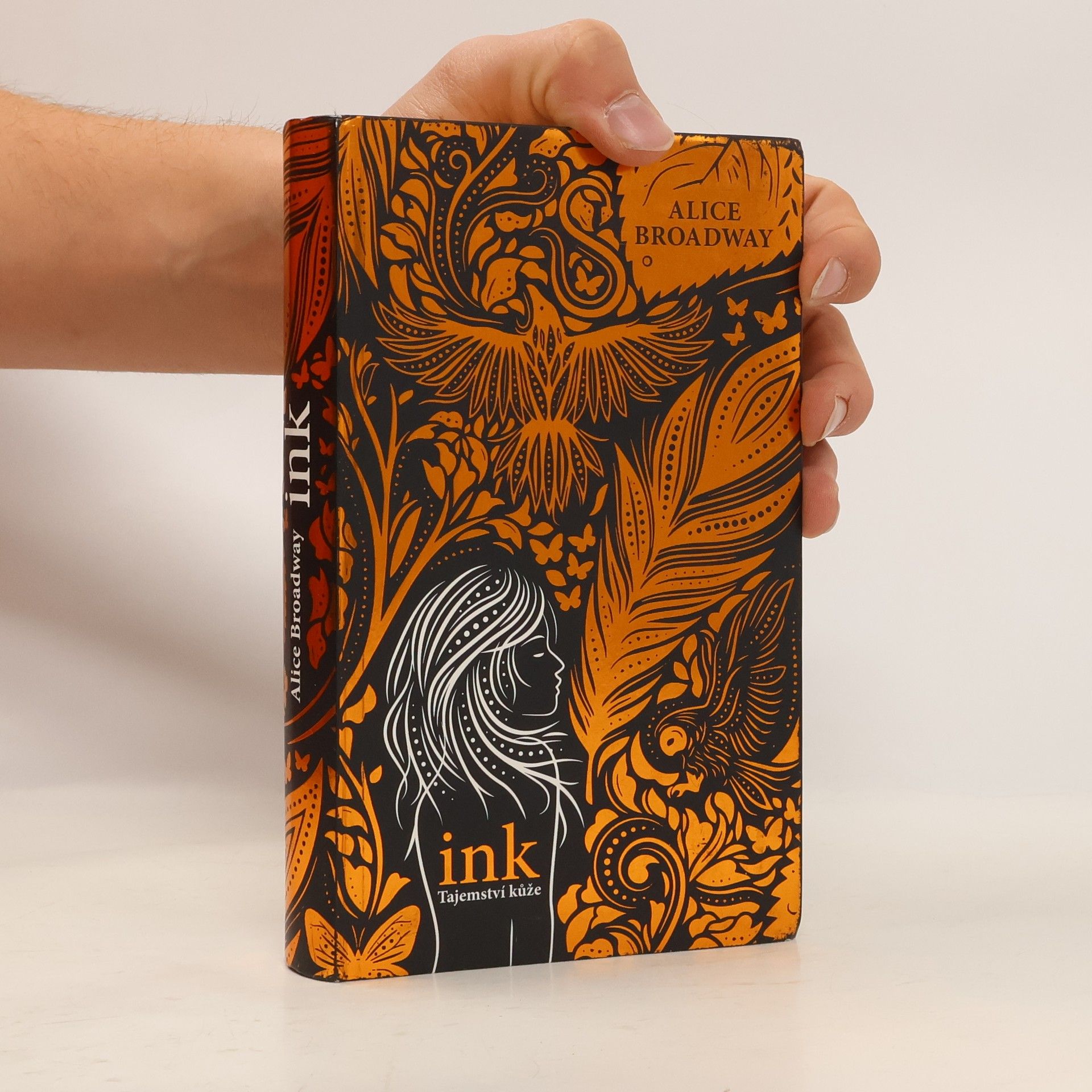 Alice Broadway Ink. Tajemství kůže