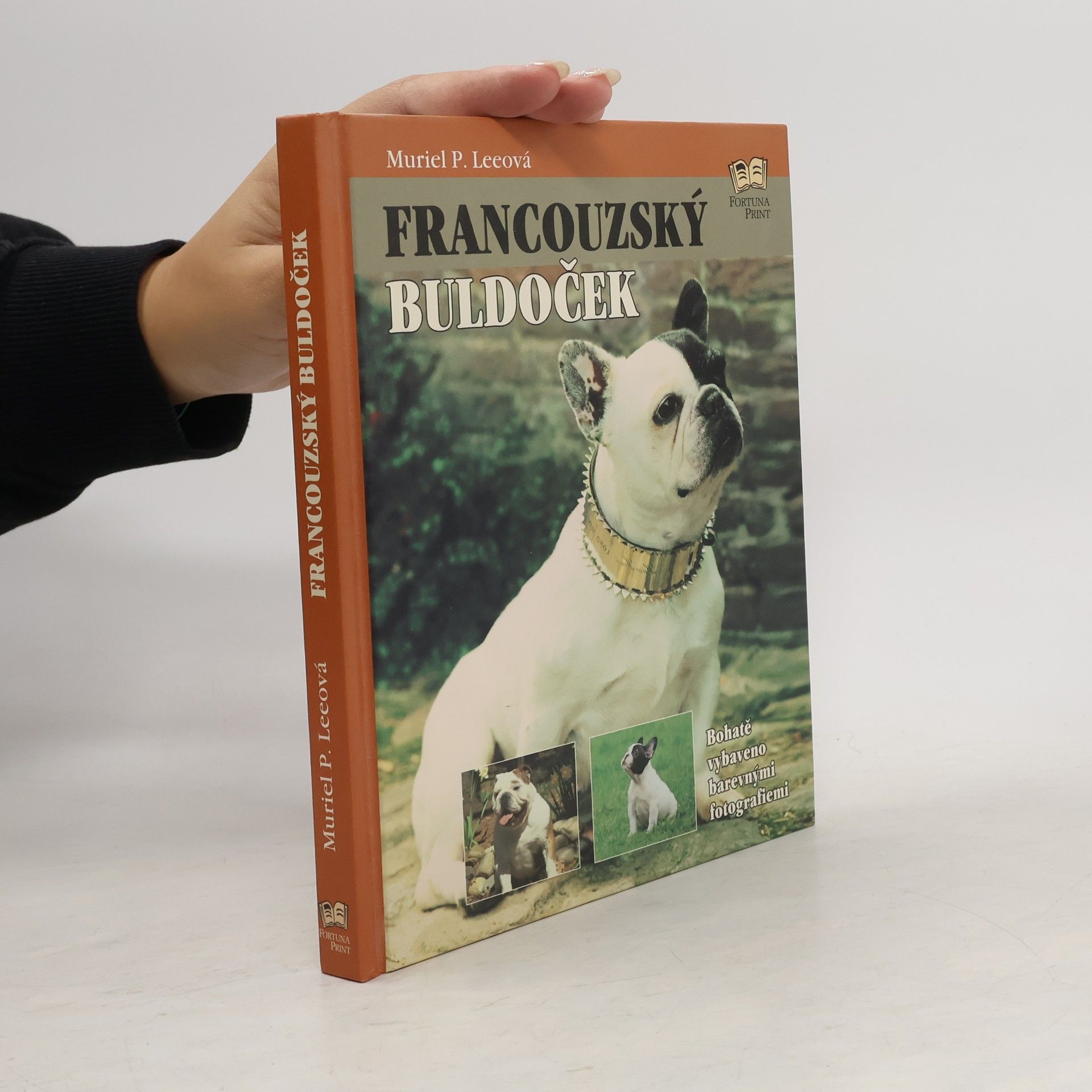 Francouzský buldoček