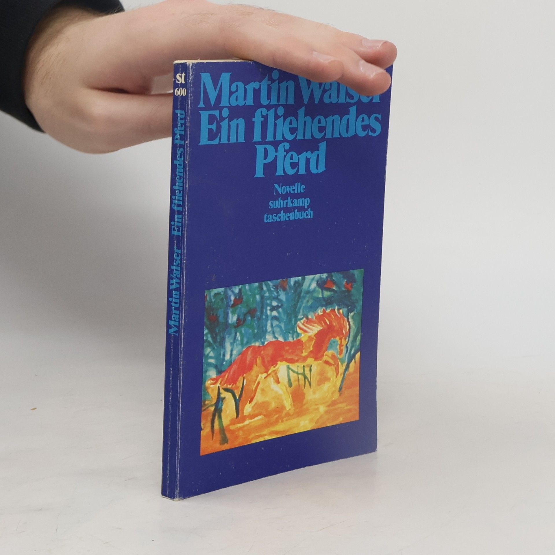 Martin Walser Ein fliehendes Pferd