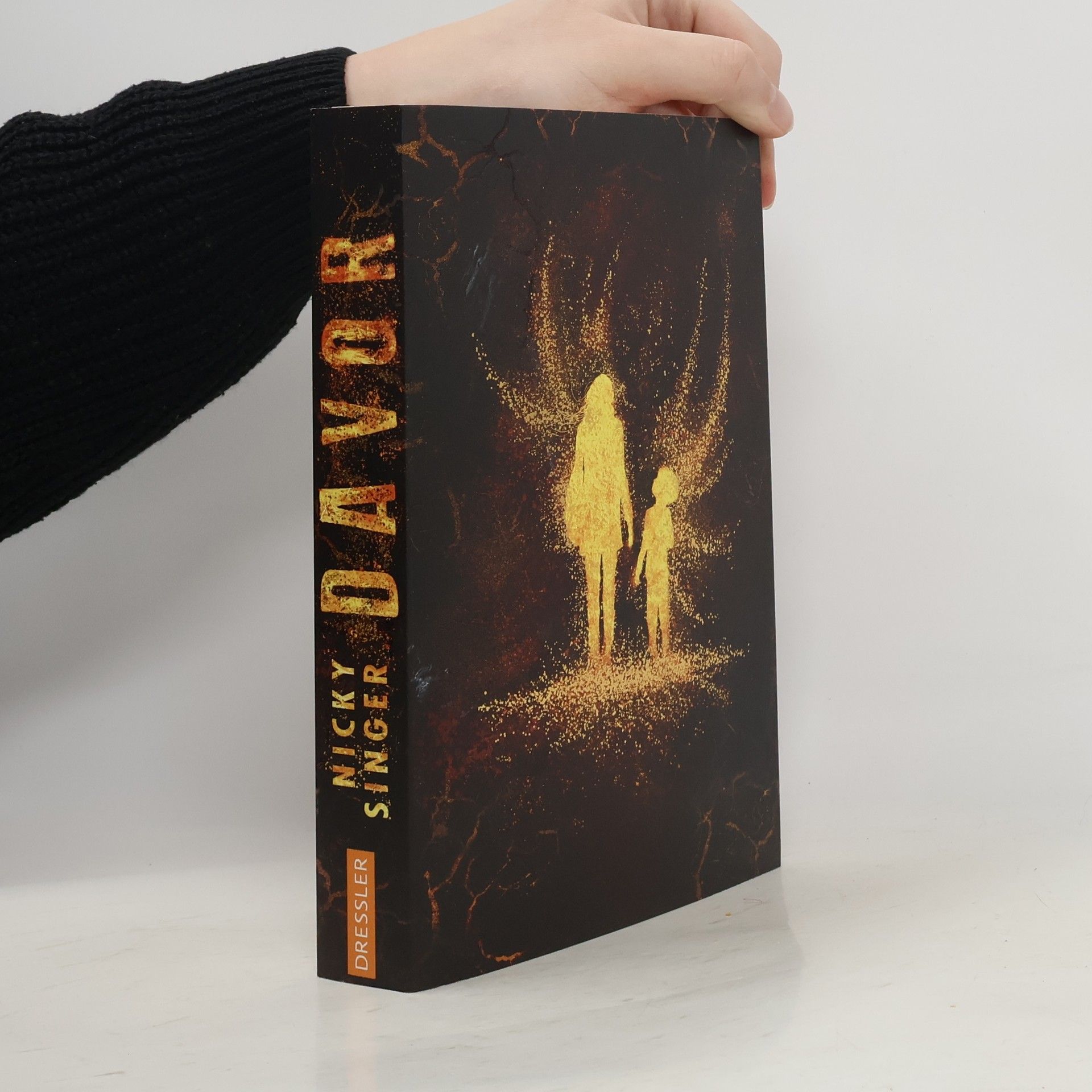 Nicky Singer Davor und Danach