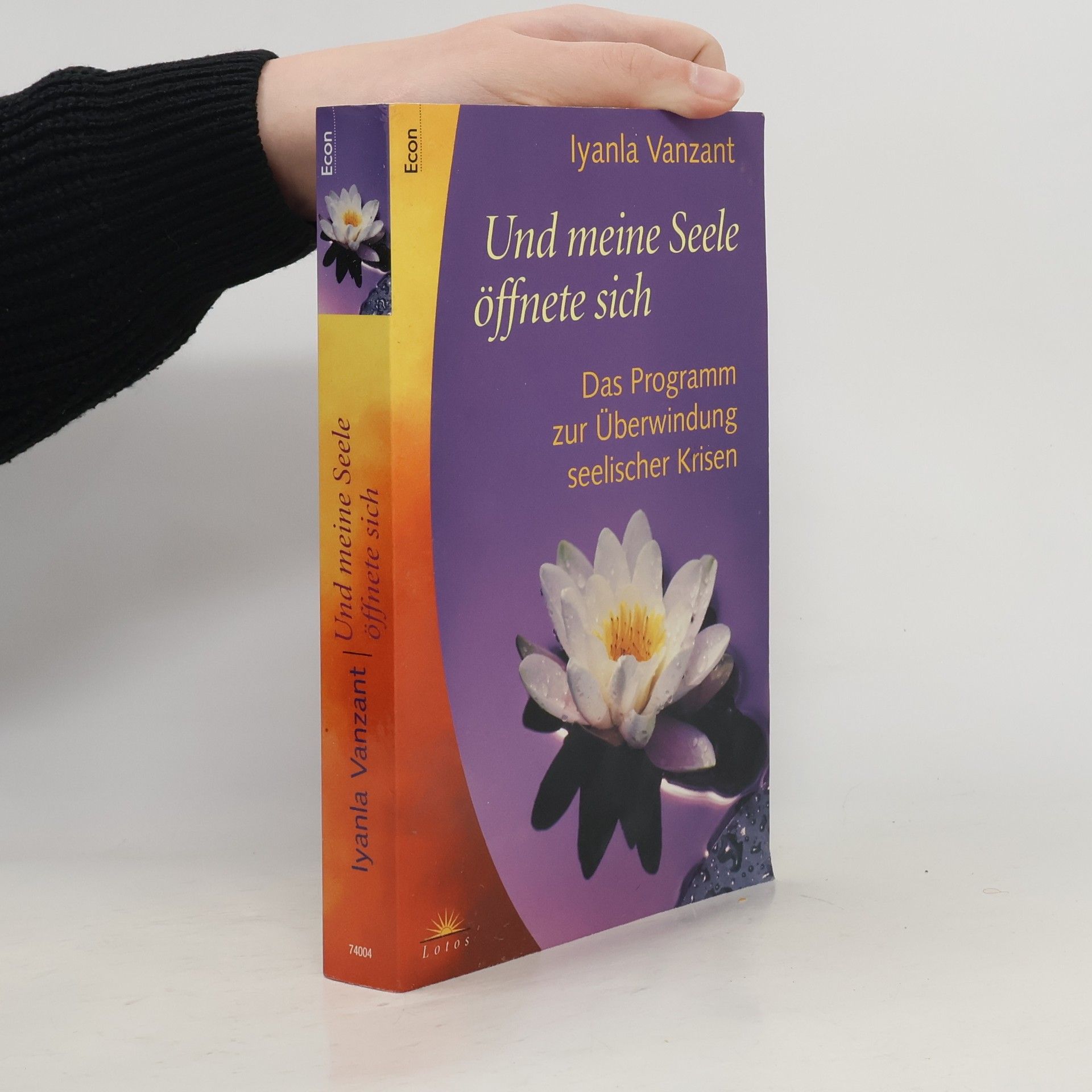 Iyanla Vanzant Und meine Seele öffnete sich : das Programm zur Überwindung seelischer Krisen